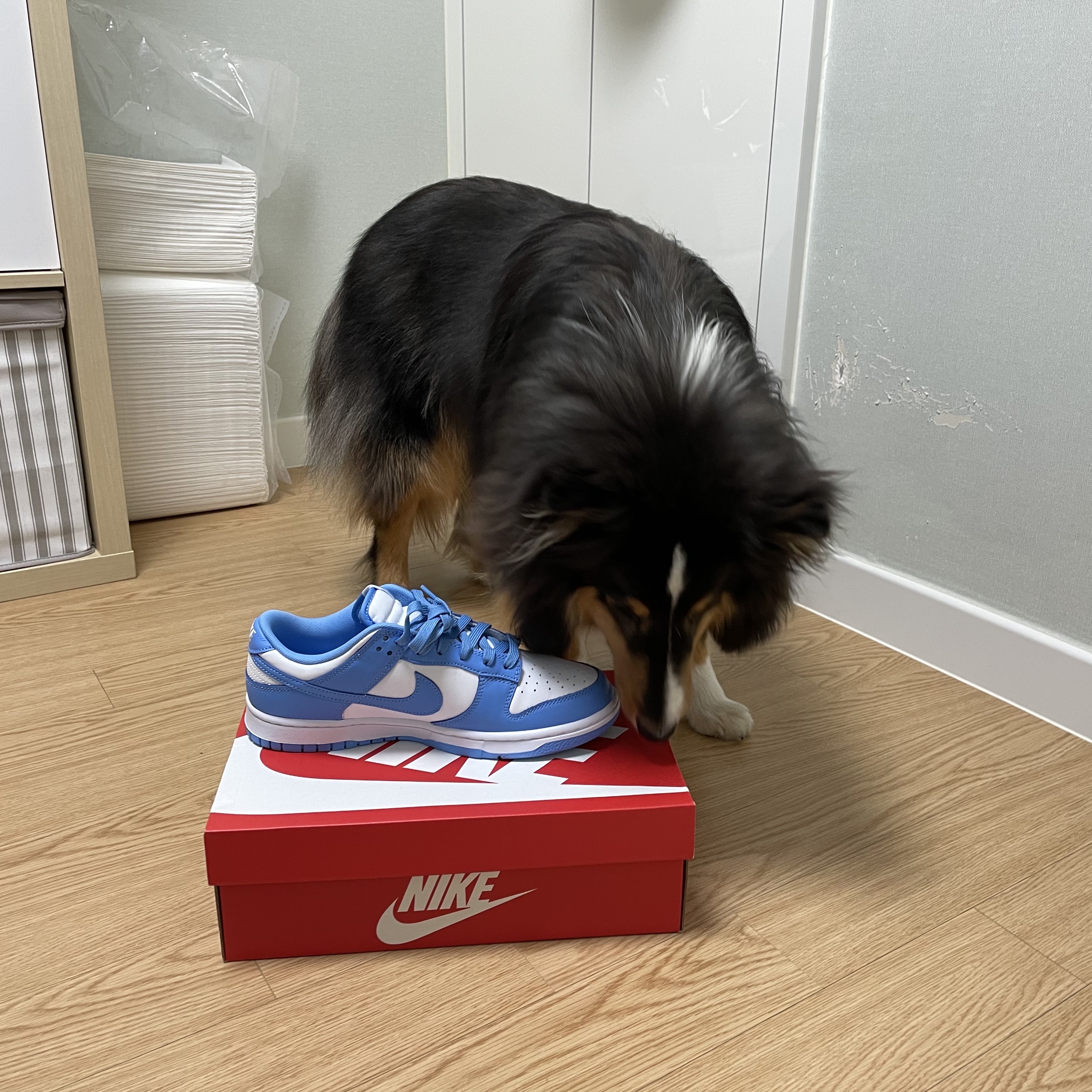 Nike Dunk Low Retro University Blue 착용 스타일 - 2