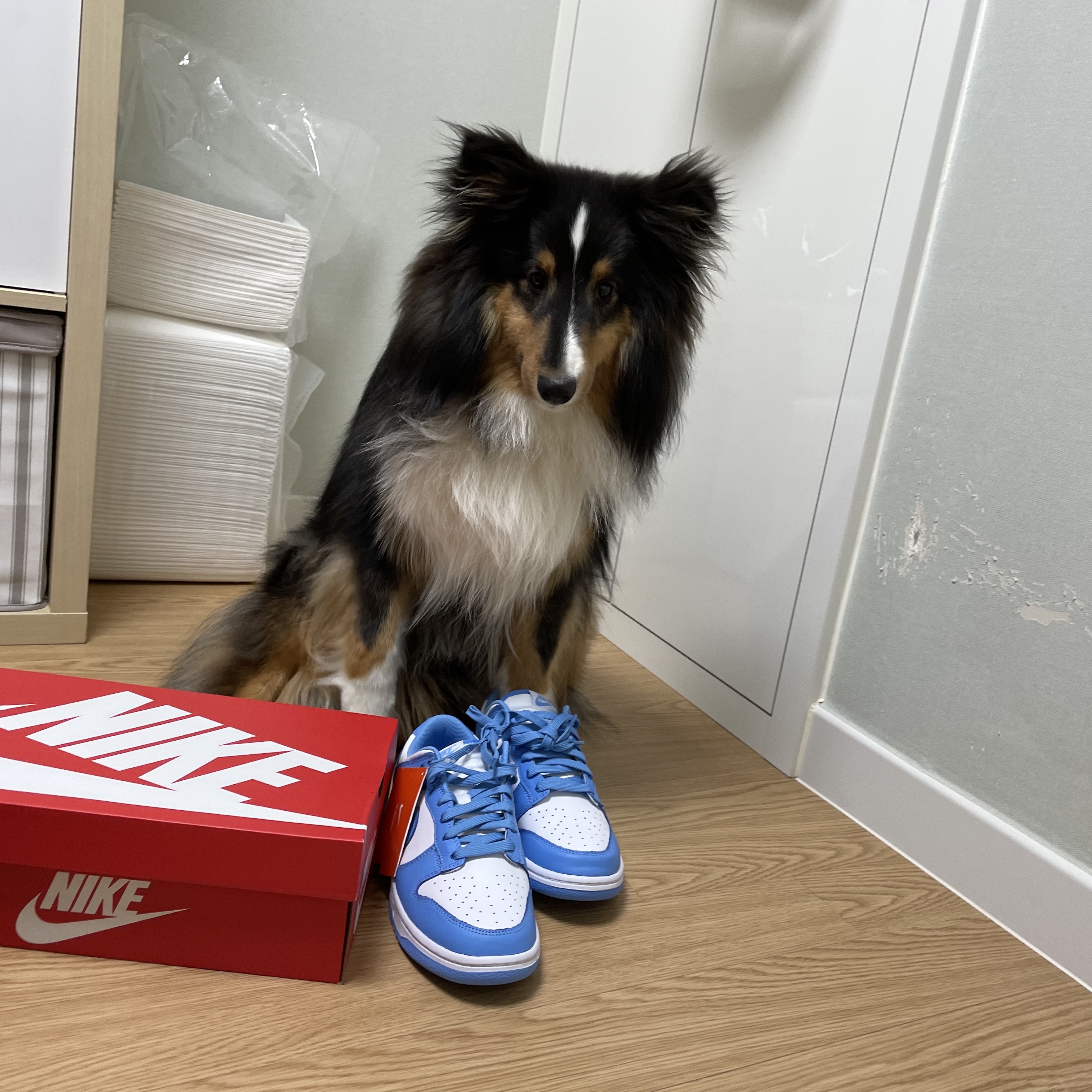 Nike Dunk Low Retro University Blue 착용 스타일 - 3