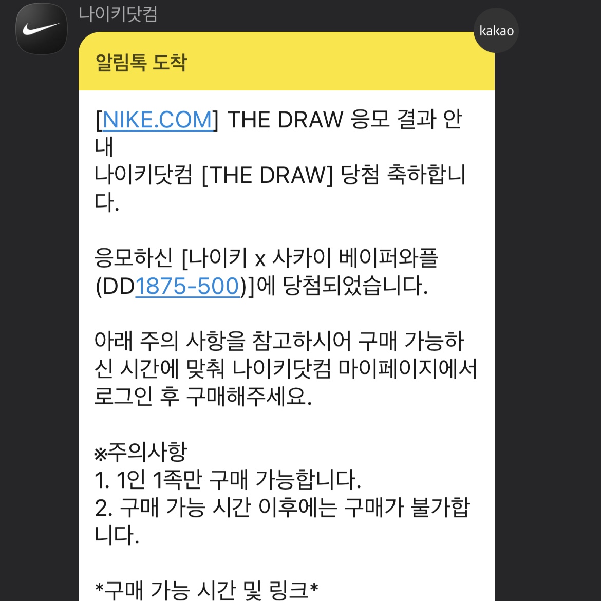 Nike x Sacai VaporWaffle Dark Iris 착용 스타일