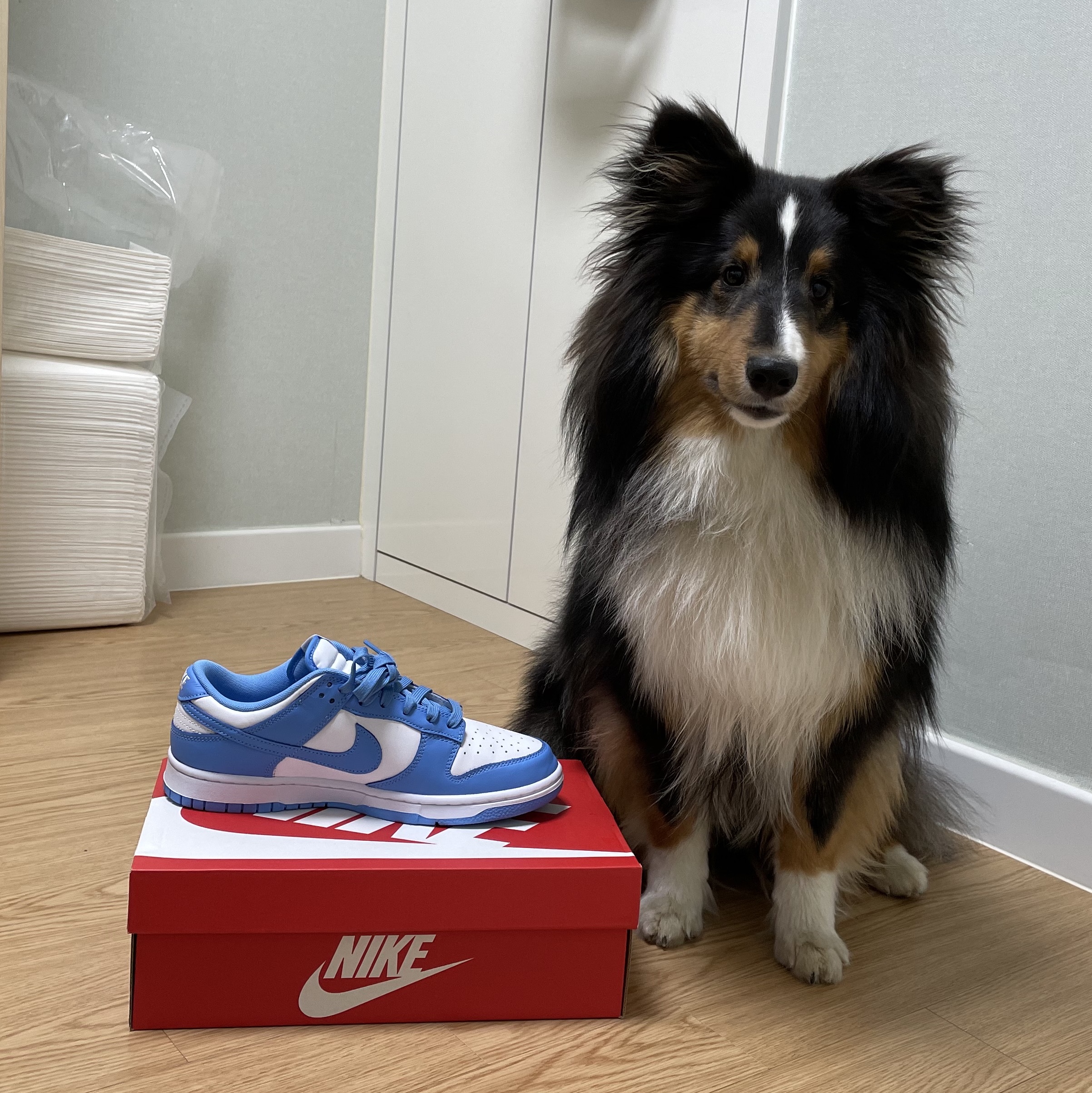 Nike Dunk Low Retro University Blue 착용 스타일 - 4