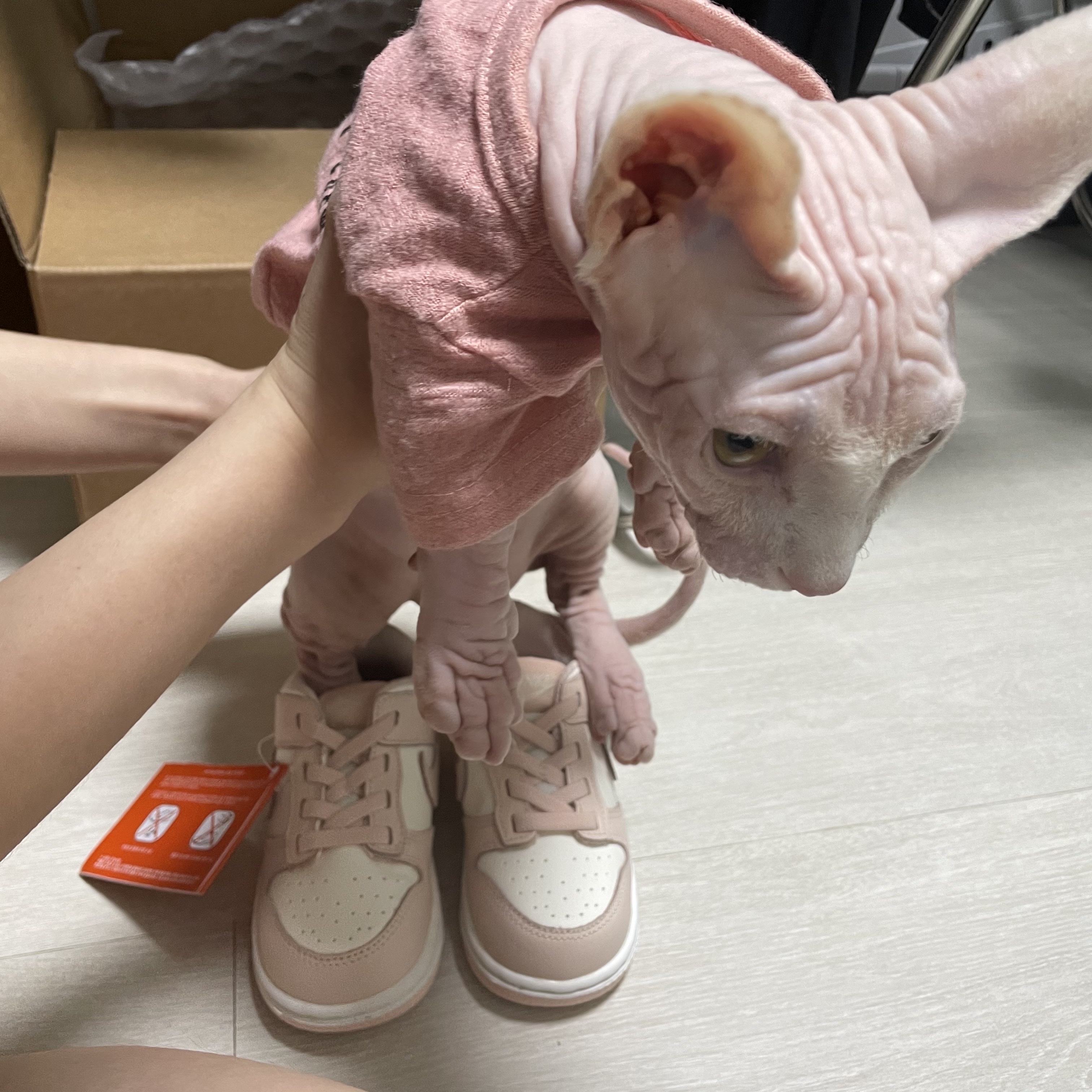 (TD) Nike Dunk Low Orange Pearl 착용 스타일