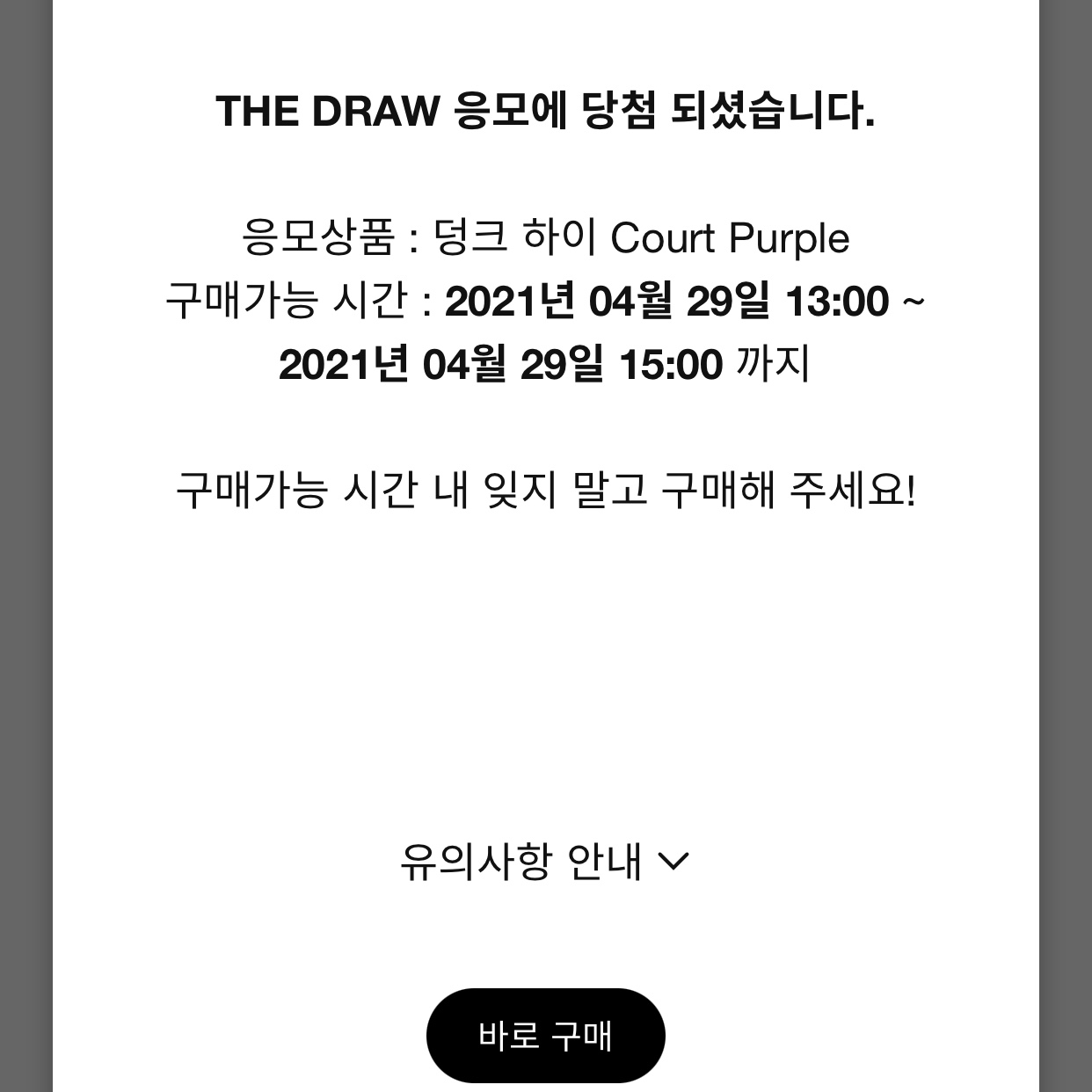 Nike Dunk High PRM EMB Court Purple 착용 스타일 - 1