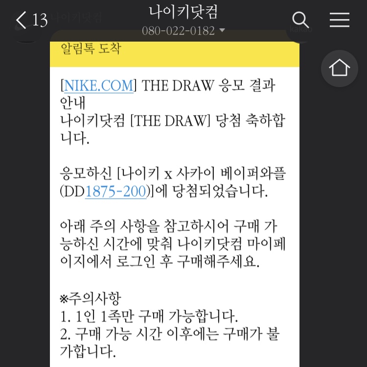 skylovenpsc님의 스타일