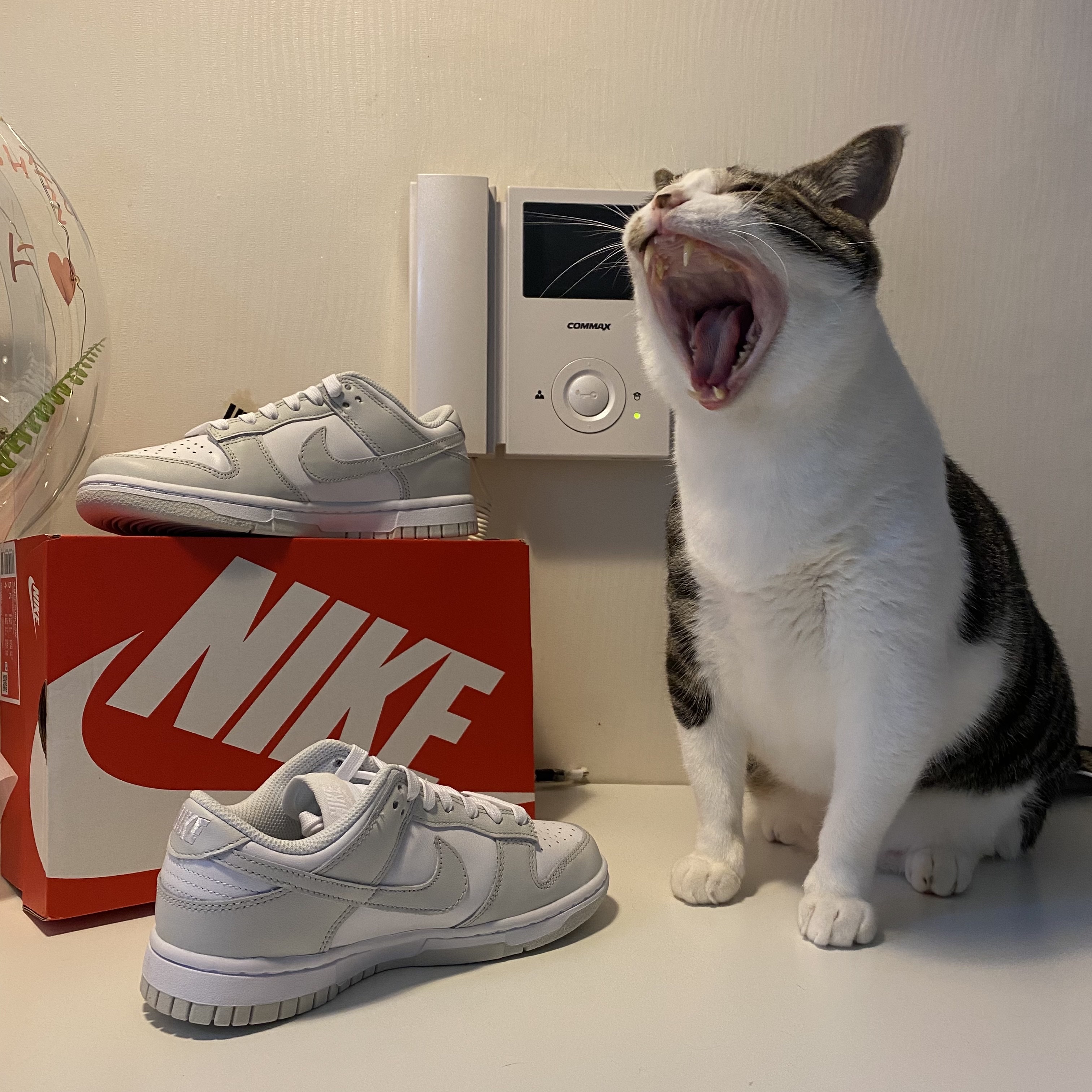 (W) Nike Dunk Low Photon Dust 착용 스타일 - 4