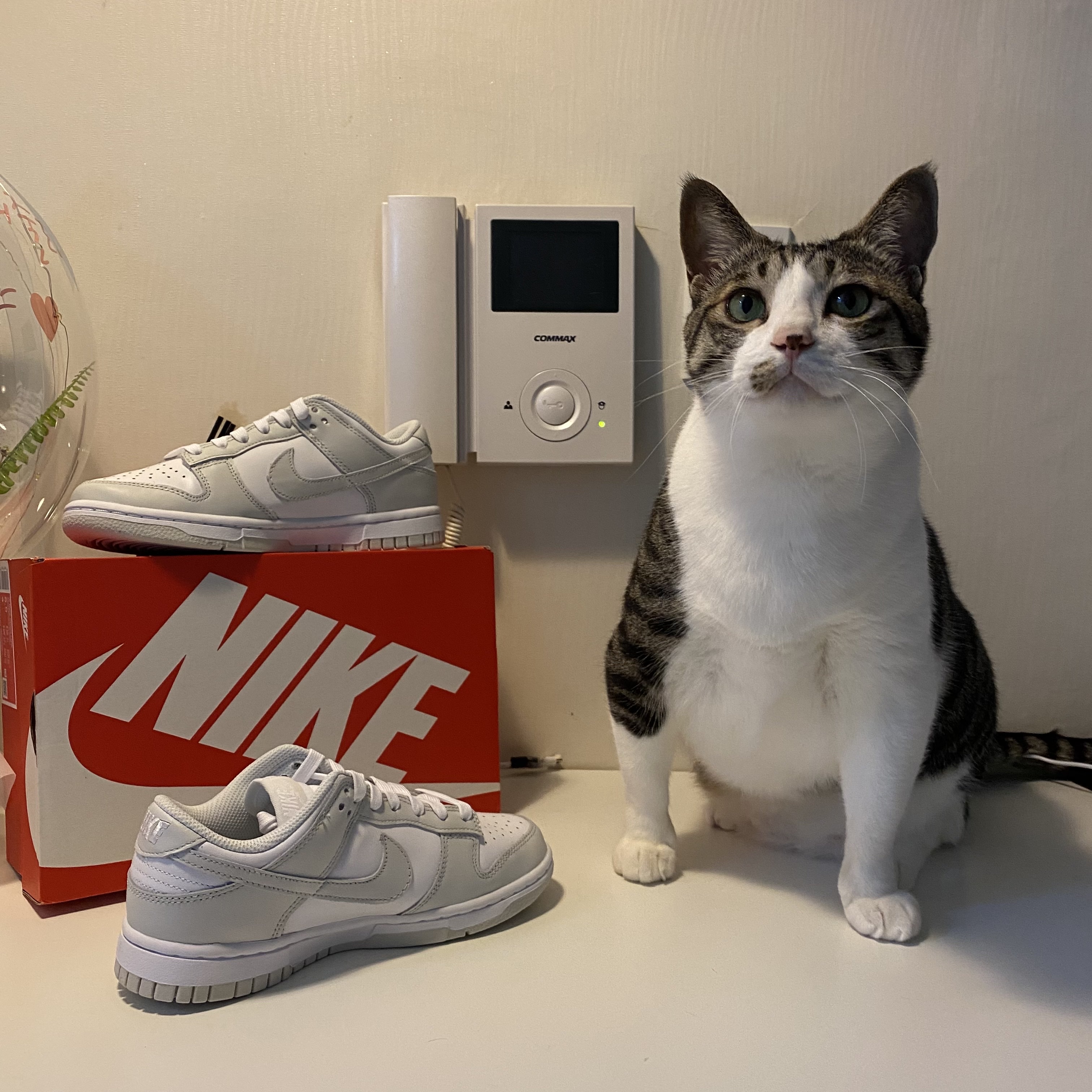 (W) Nike Dunk Low Photon Dust 착용 스타일 - 1