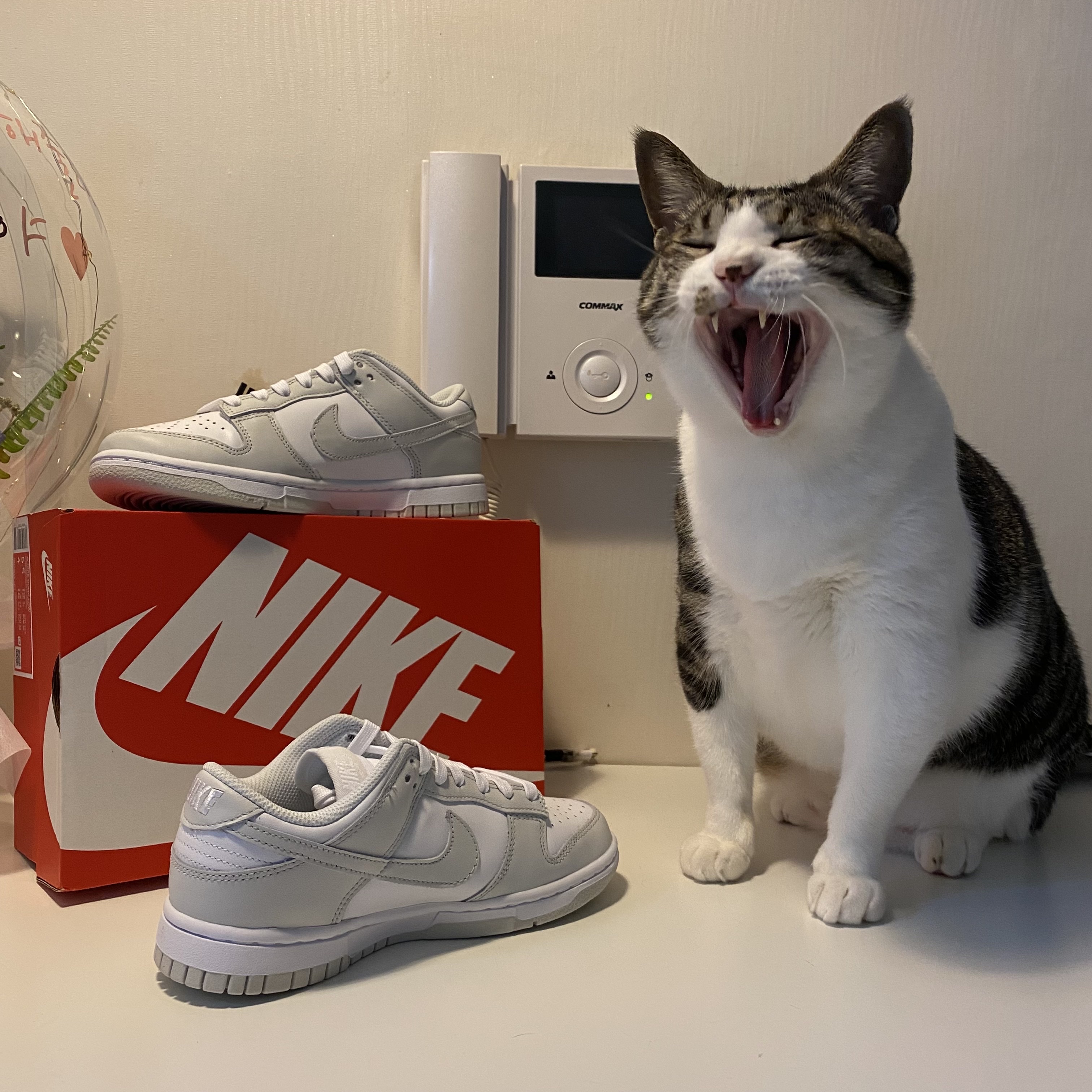 (W) Nike Dunk Low Photon Dust 착용 스타일 - 3