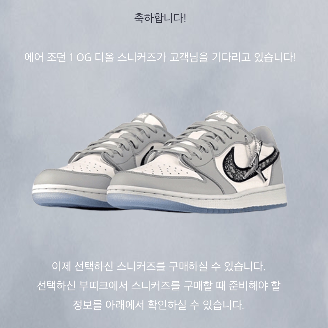Jordan 1 x Dior Low OG 착용 스타일 - 5