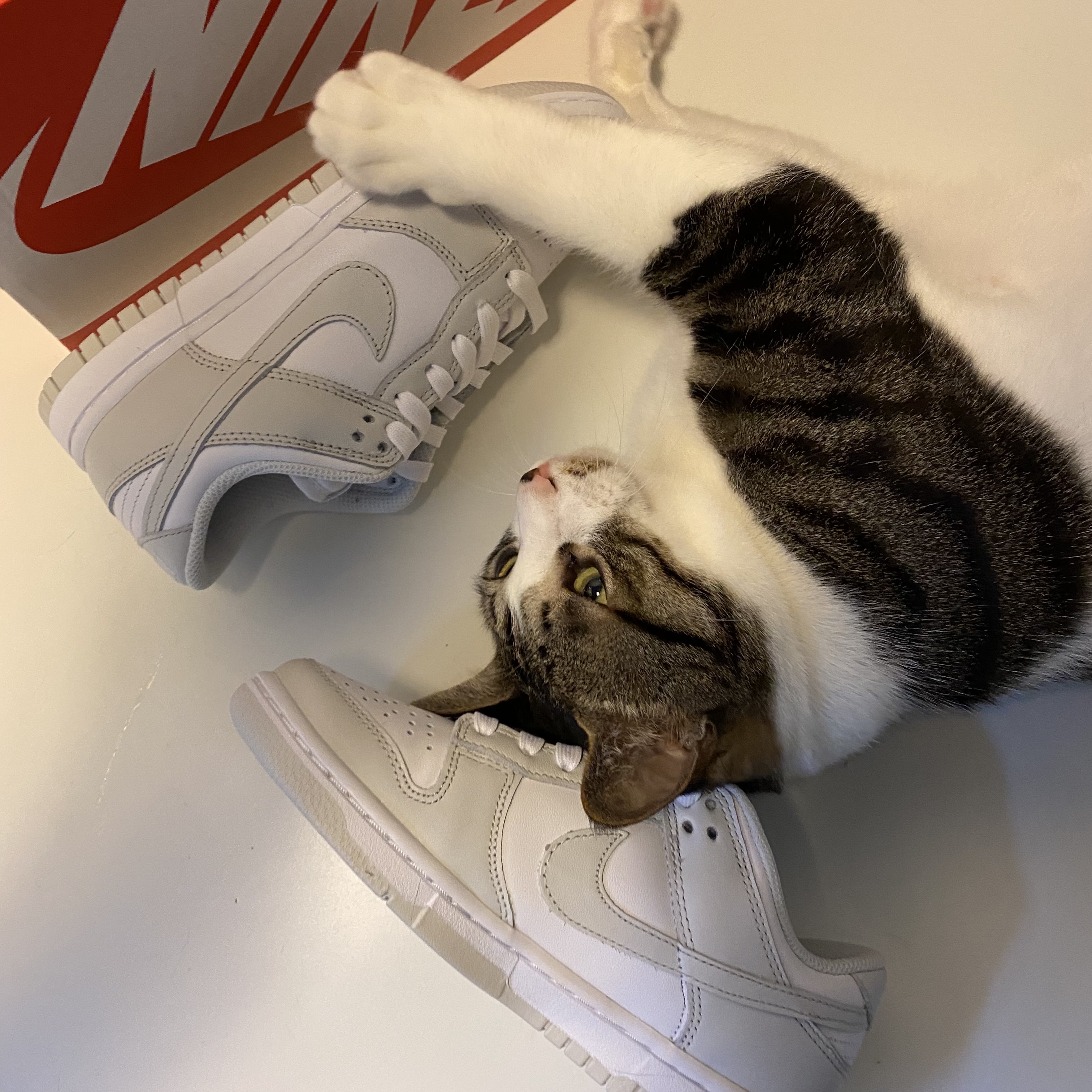 (W) Nike Dunk Low Photon Dust 착용 스타일 - 5