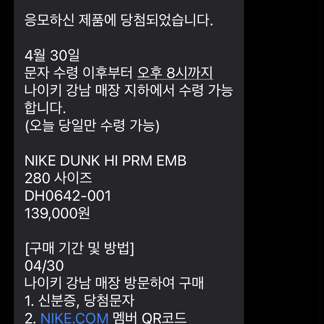 Nike Dunk High PRM EMB Court Purple 착용 스타일 - 4