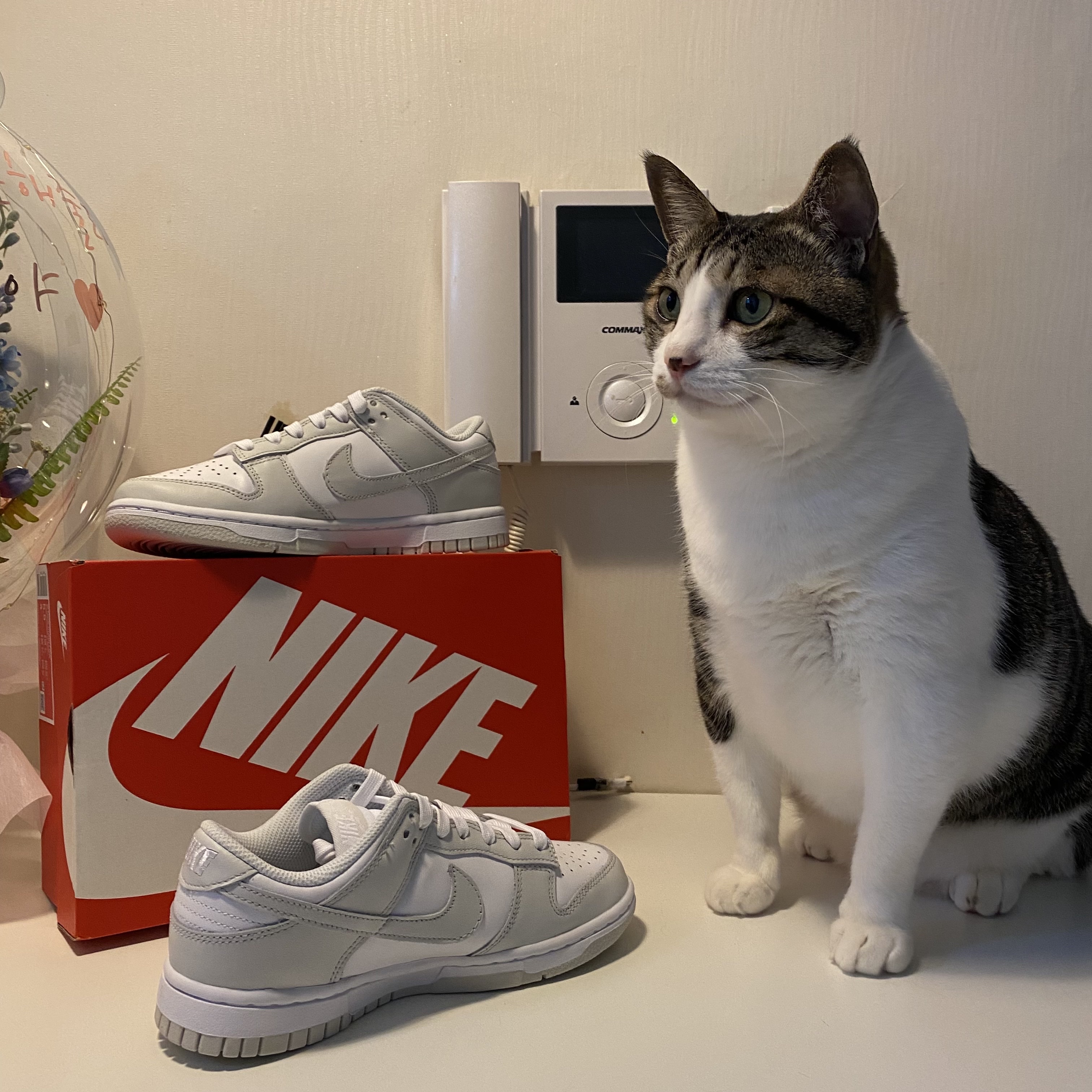 (W) Nike Dunk Low Photon Dust 착용 스타일 - 2