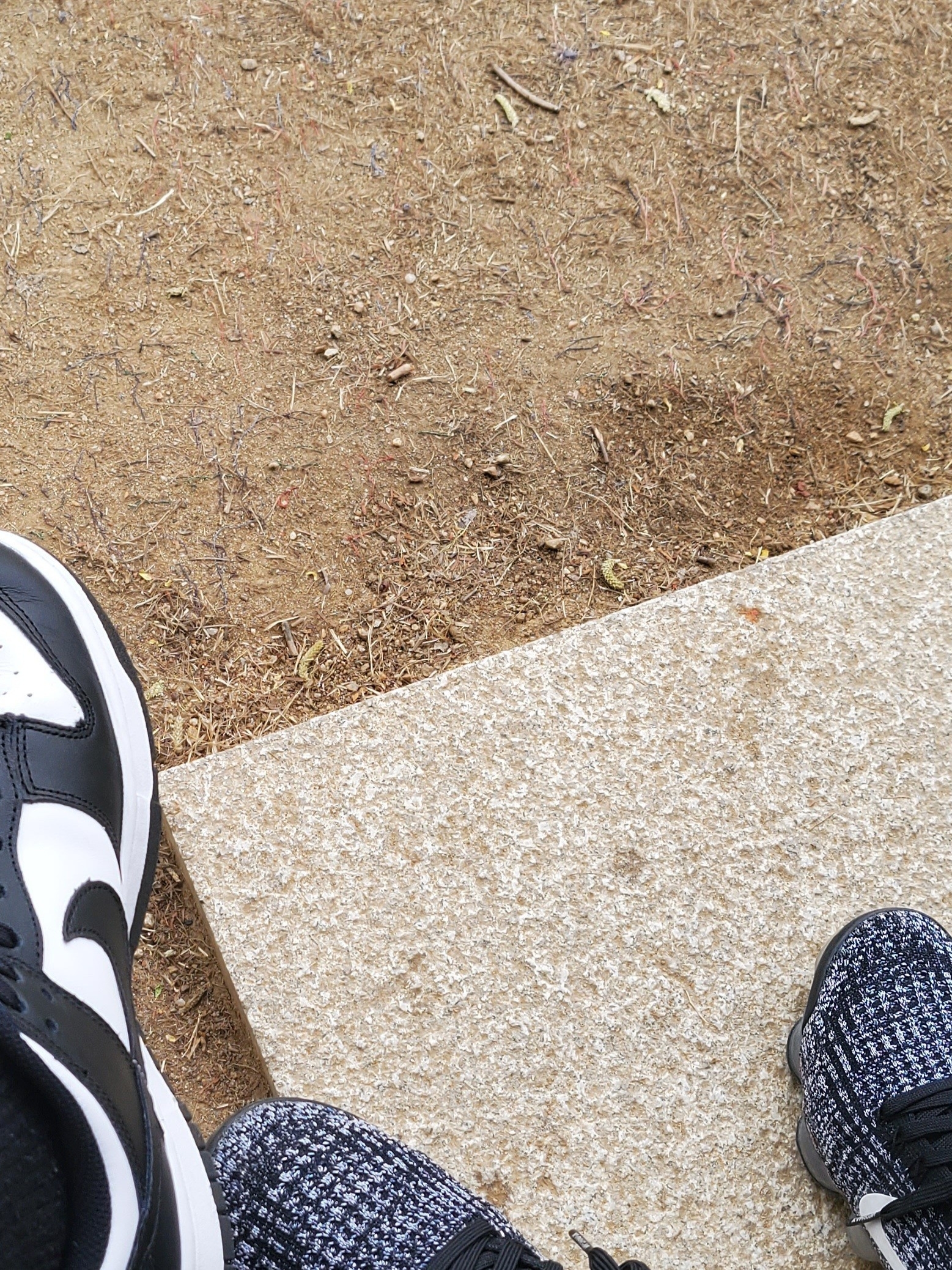(W) Nike Dunk Low Black, Converse x Fear of God Essentials Chuck 70 Hi Natural 2020 착용 스타일 - 2