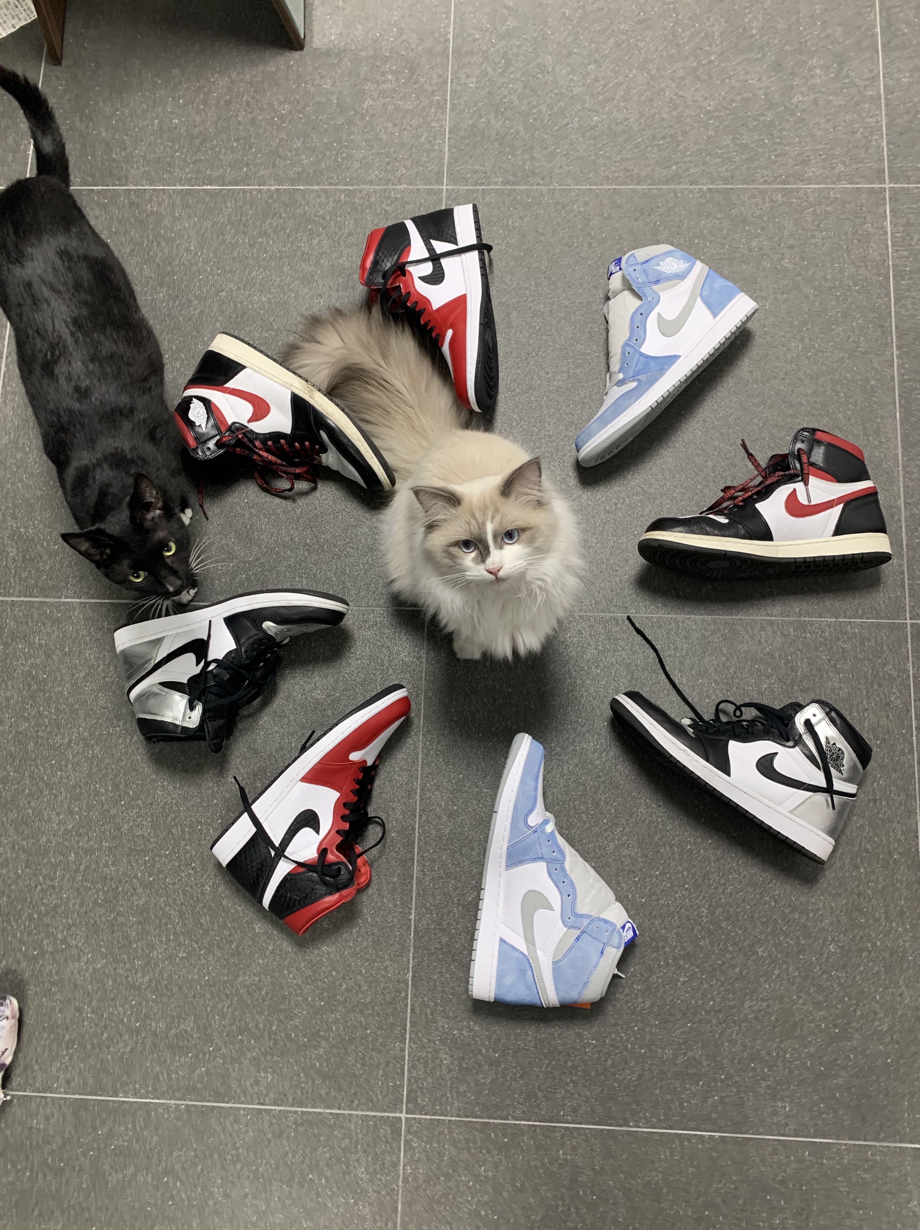 Jordan 1 Retro High OG Hyper Royal, (W) Jordan 1 Retro High OG Silver Toe 착용 스타일 - 4