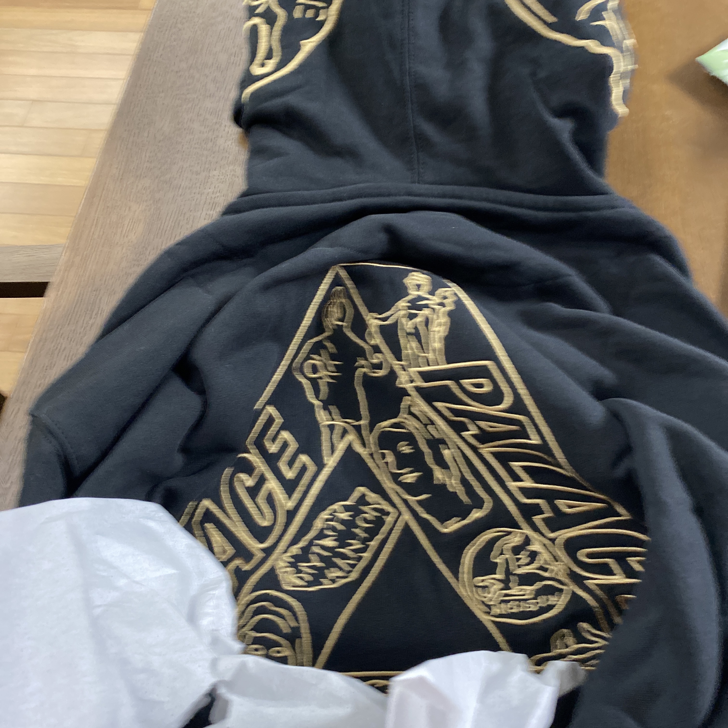 Palace Tri-Archaeology Hood Black - 21SS 착용 스타일 - 3