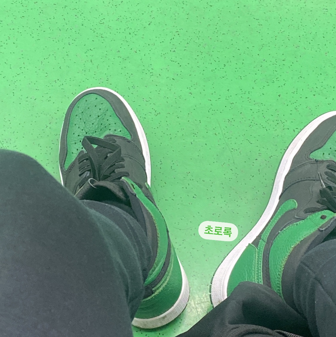 Jordan 1 Retro High OG Pine Green Black 착용 스타일