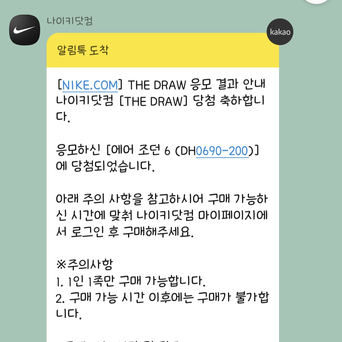 Jordan 6 x Travis Scott Retro SP British Khaki 착용 스타일