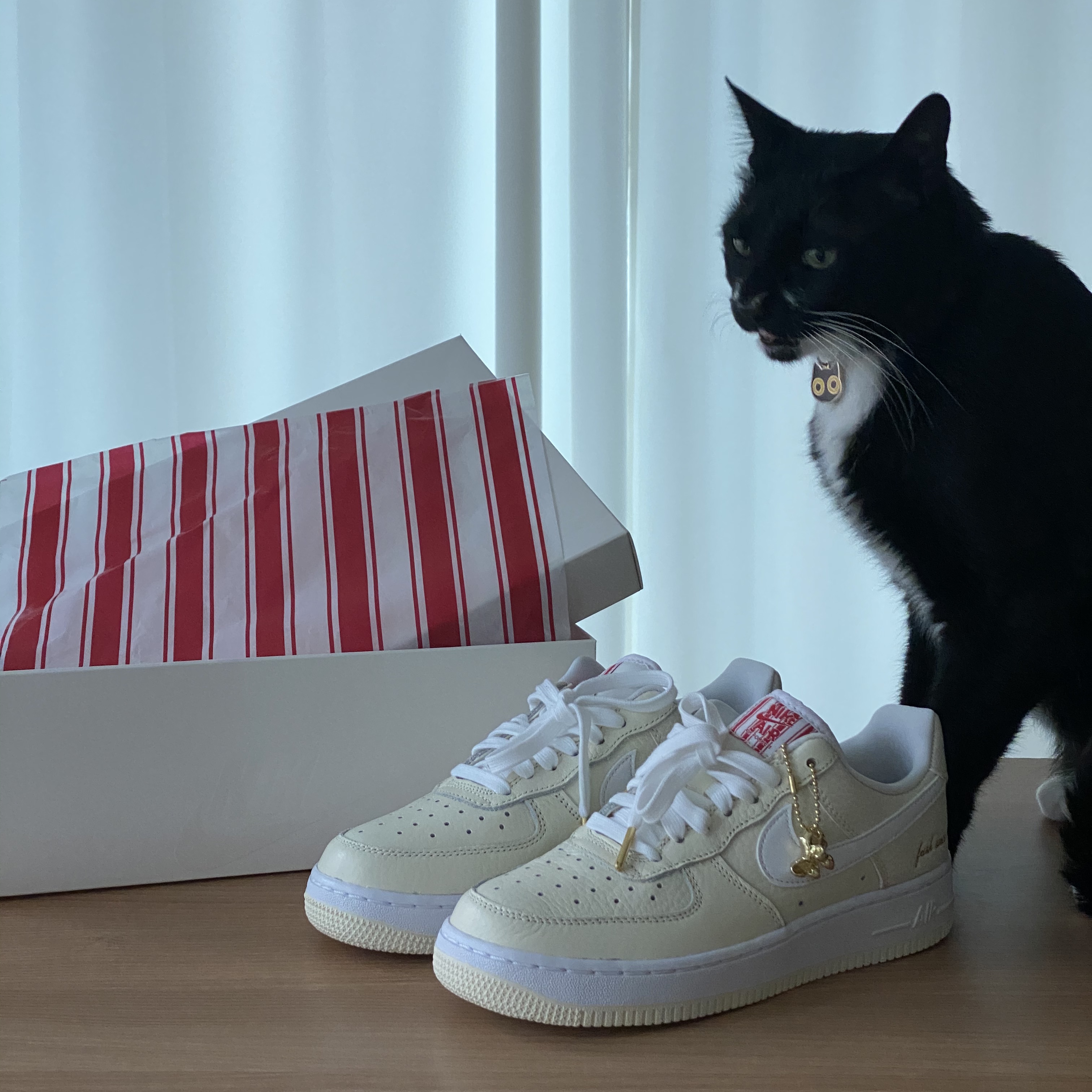 Nike Air Force 1 '07 PRM Popcorn 착용 스타일 - 1