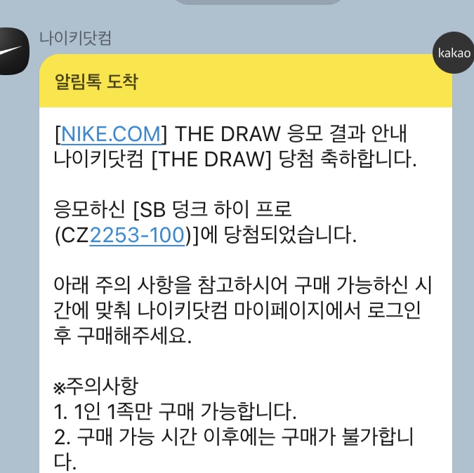 Nike SB Dunk High Pro Test Pattern 착용 스타일
