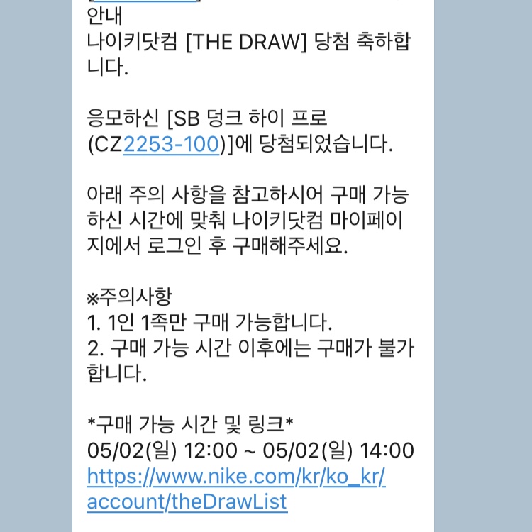 Nike SB Dunk High Pro Test Pattern 착용 스타일