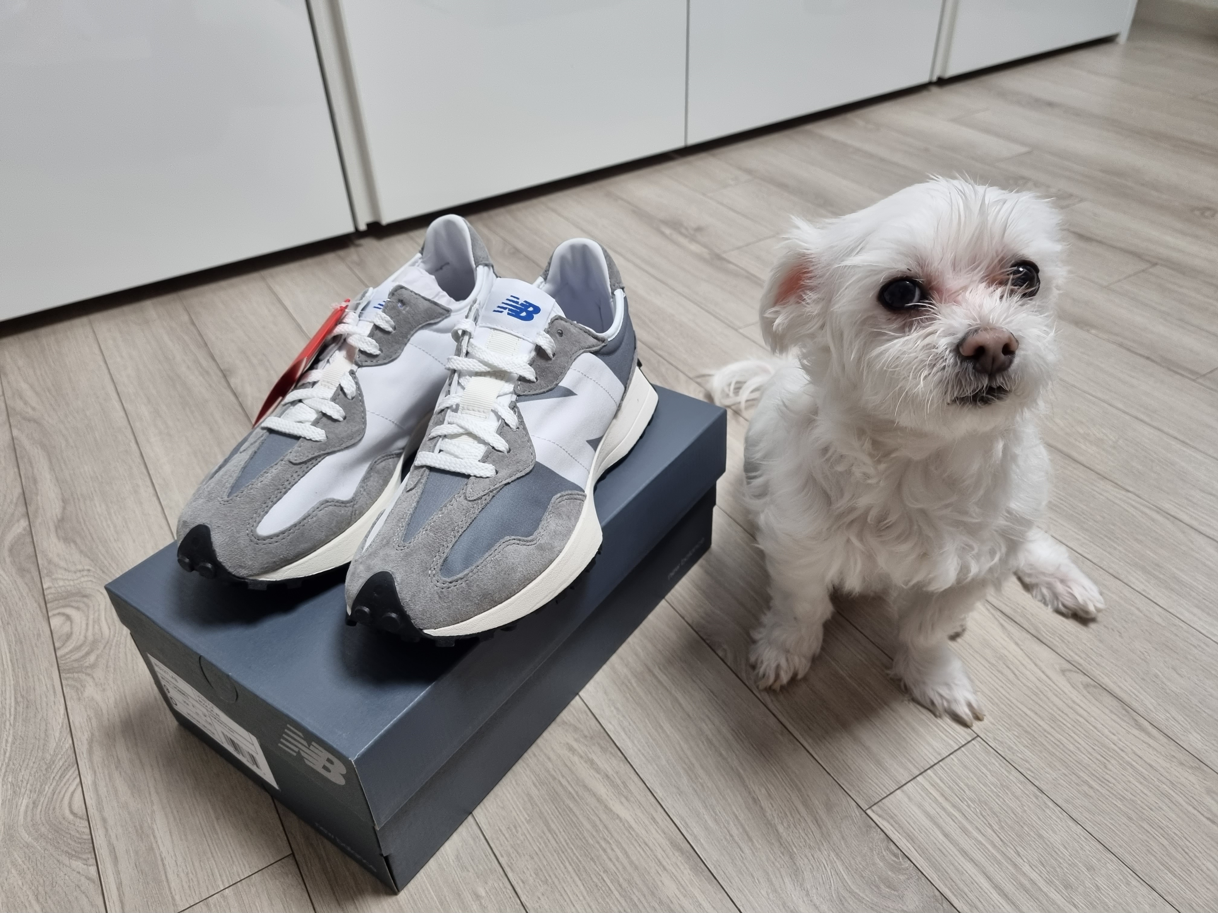 New Balance 327 Grey 착용 스타일
