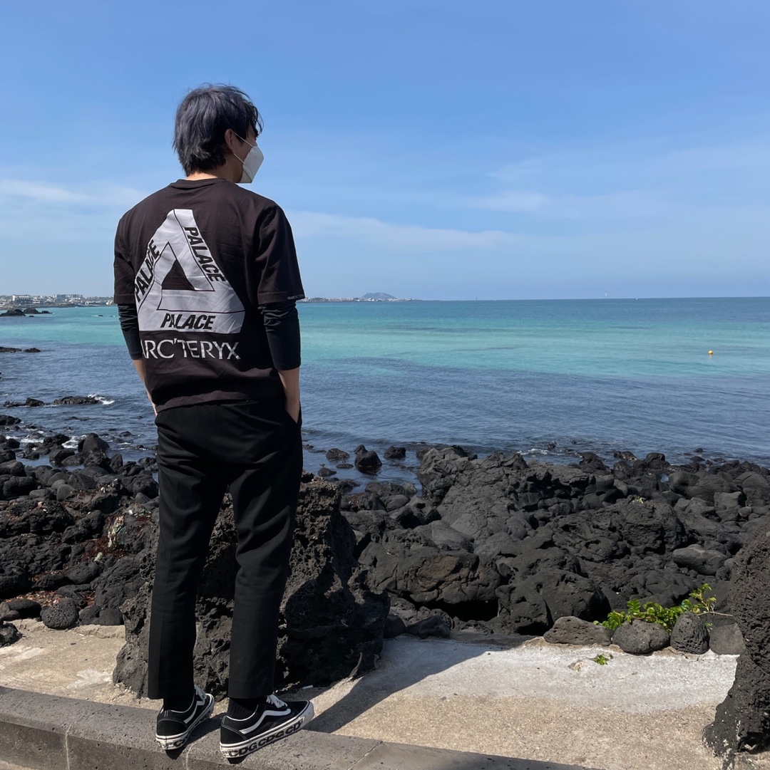 Palace x Arc'teryx T-Shirt Black - 20FW, Vans Vault x CDG OG Old Skool LX Side Wall 착용 스타일