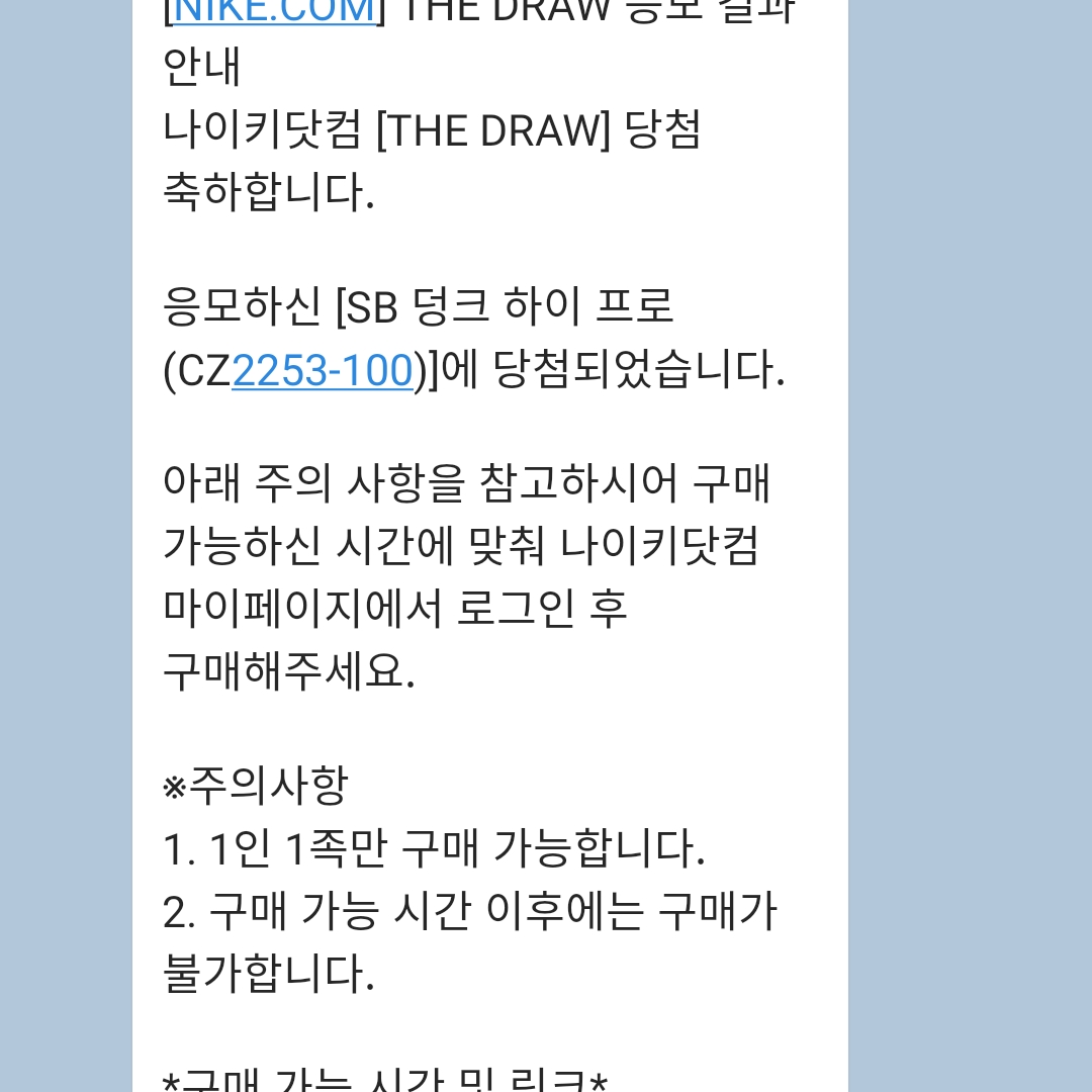 Nike SB Dunk High Pro Test Pattern 착용 스타일