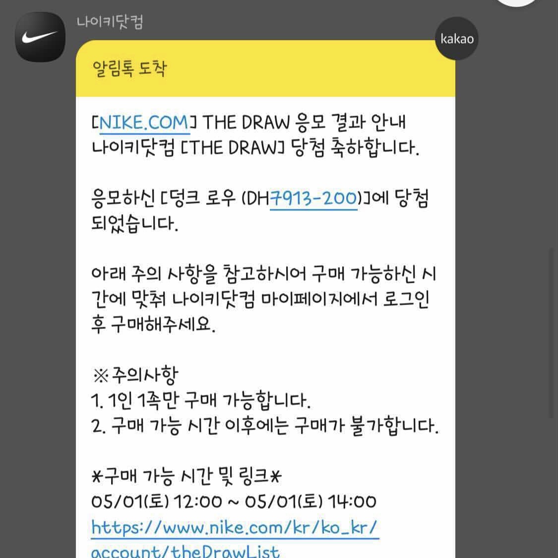 Nike Dunk Low Retro PRM Cheetah 착용 스타일