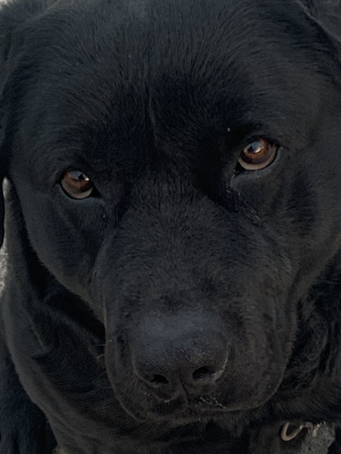 관심 유저 프로필 이미지