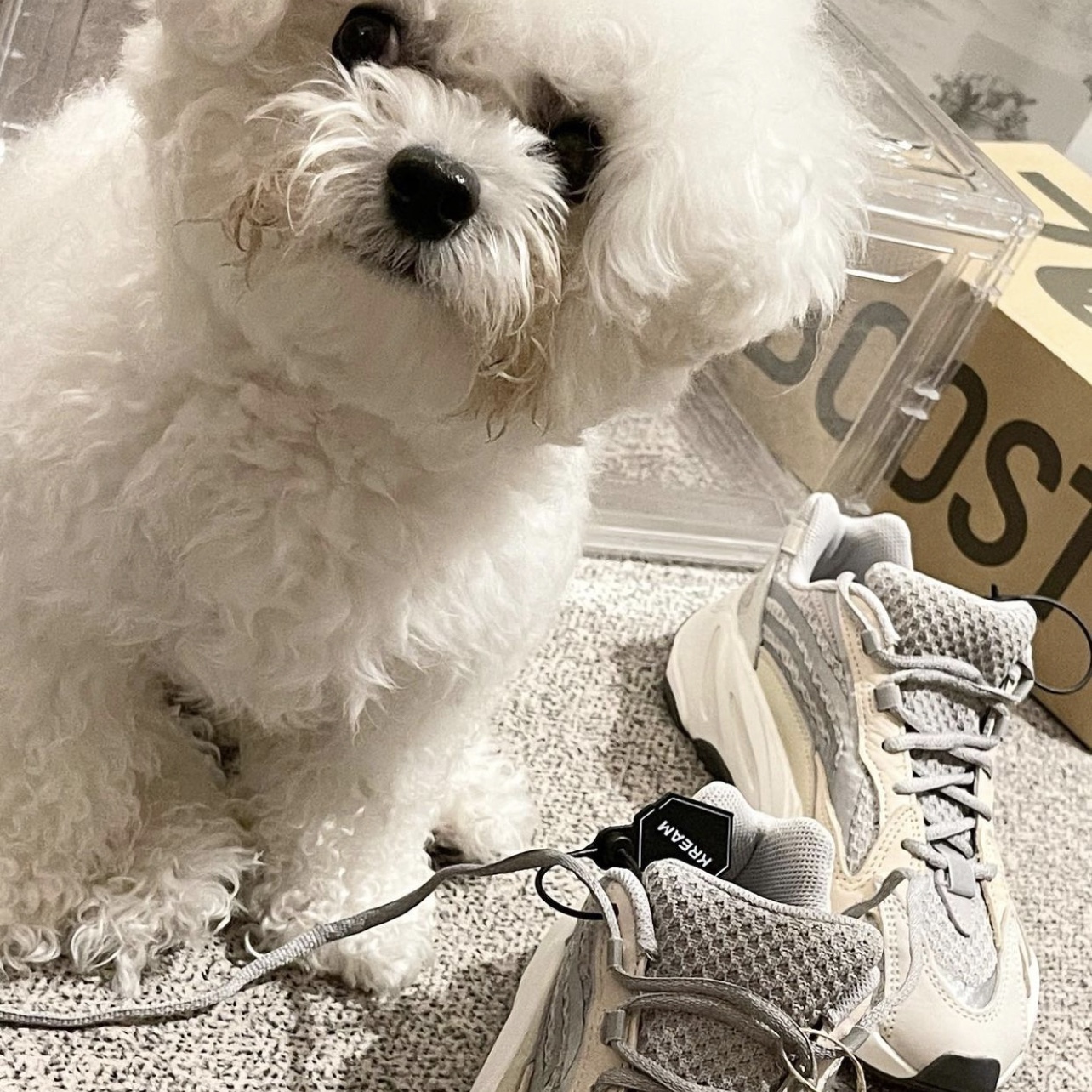 Adidas Yeezy Boost 700 V2 Cream 착용 스타일