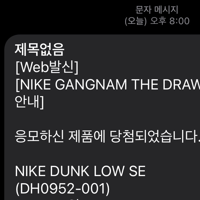 Nike Dunk Low SE Free.99 Black 착용 스타일