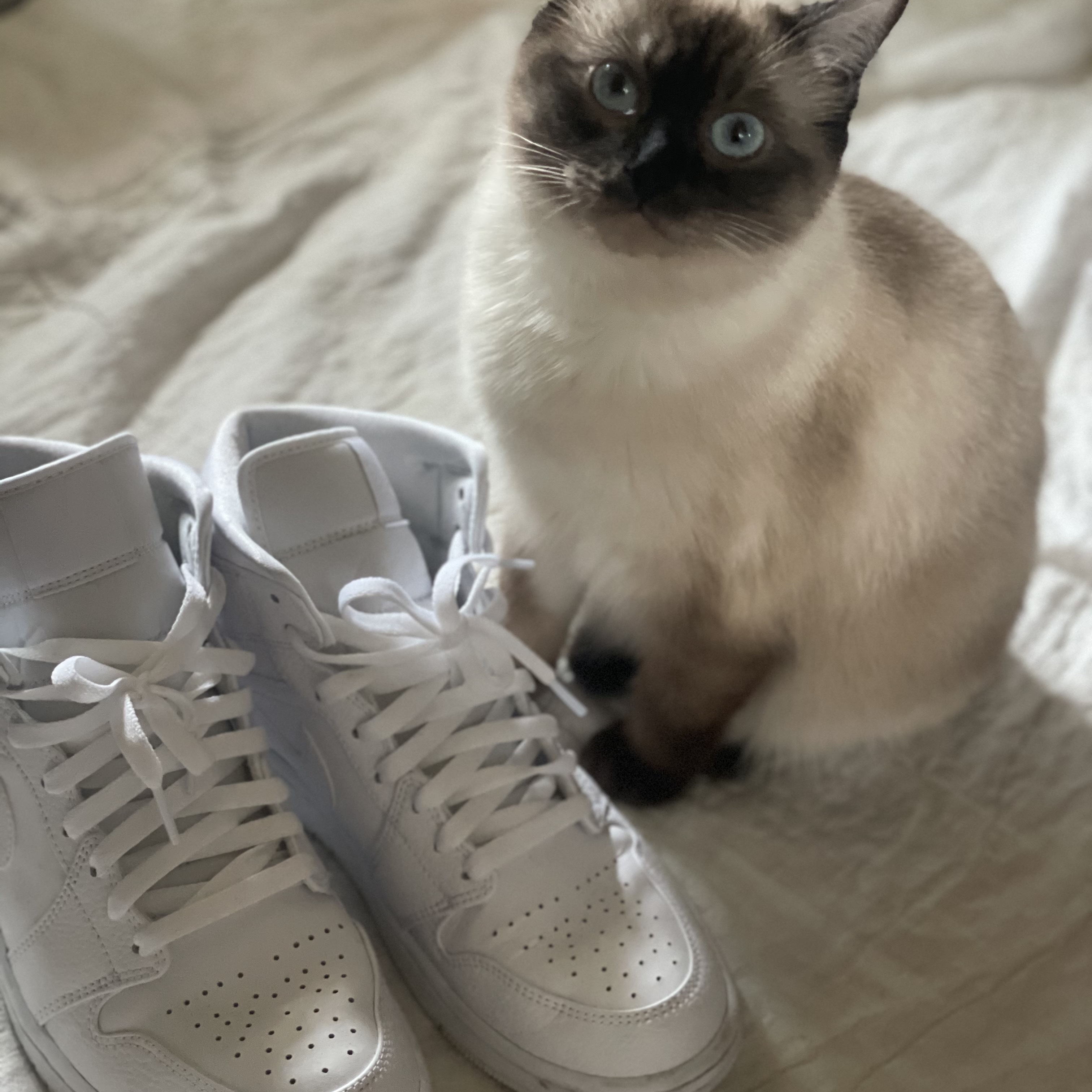 Jordan 1 Mid Triple White 착용 스타일