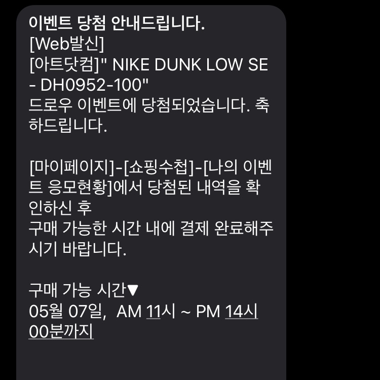 Nike Dunk Low SE Free.99 White 착용 스타일