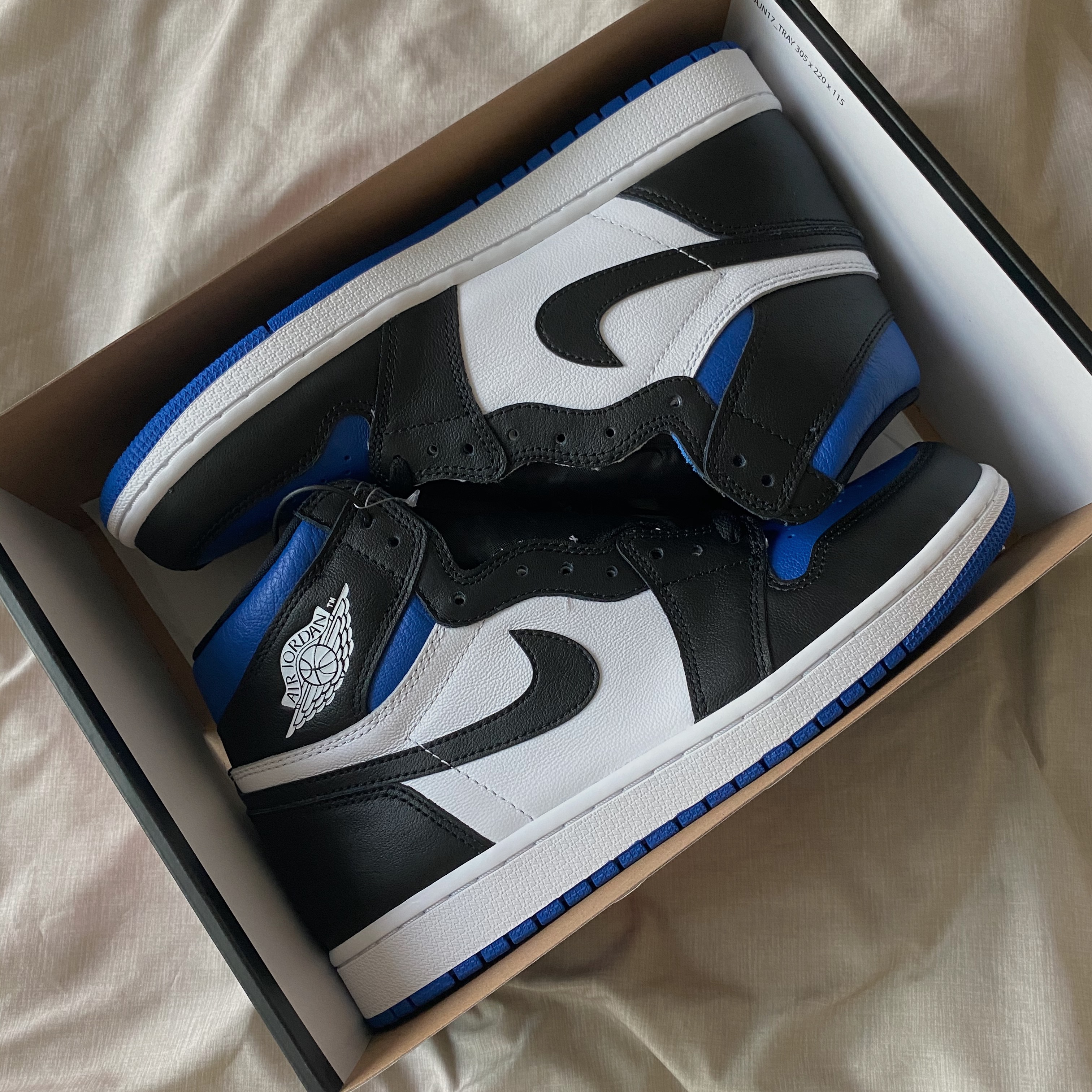 Jordan 1 Retro High OG Royal Toe 착용 스타일