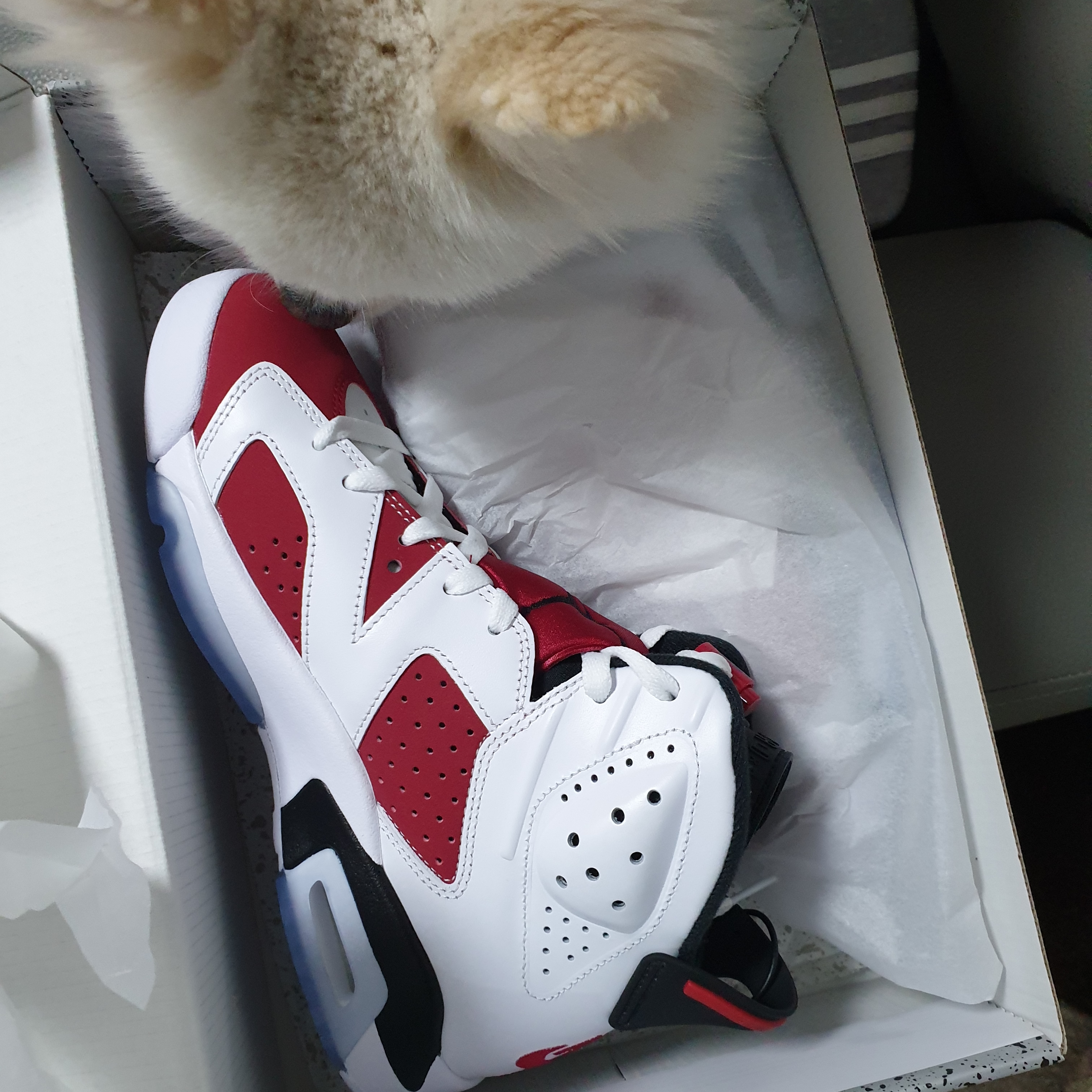 Jordan 6 Retro Carmine 2021 착용 스타일