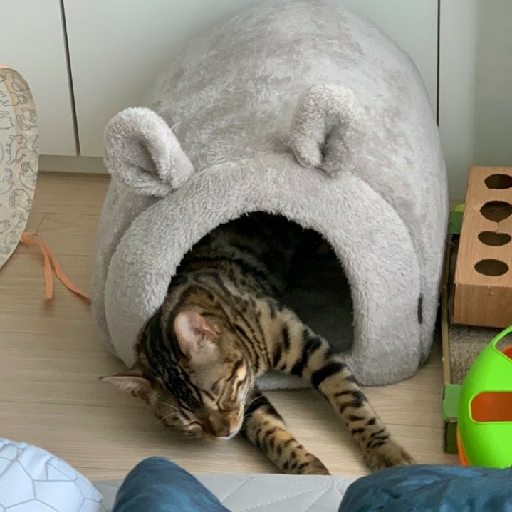 KREAM 프로필 이미지