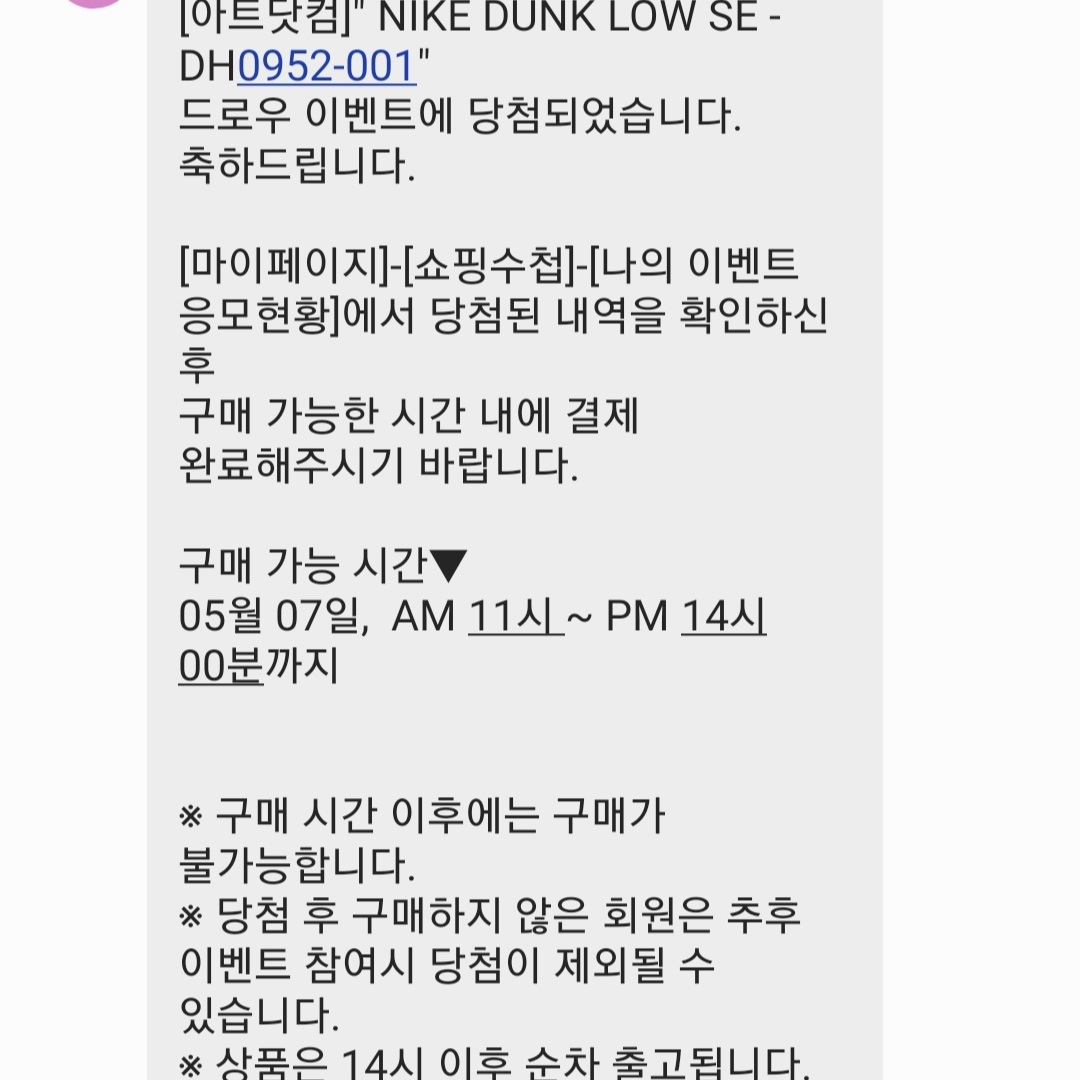 Nike Dunk Low SE Free.99 Black 착용 스타일