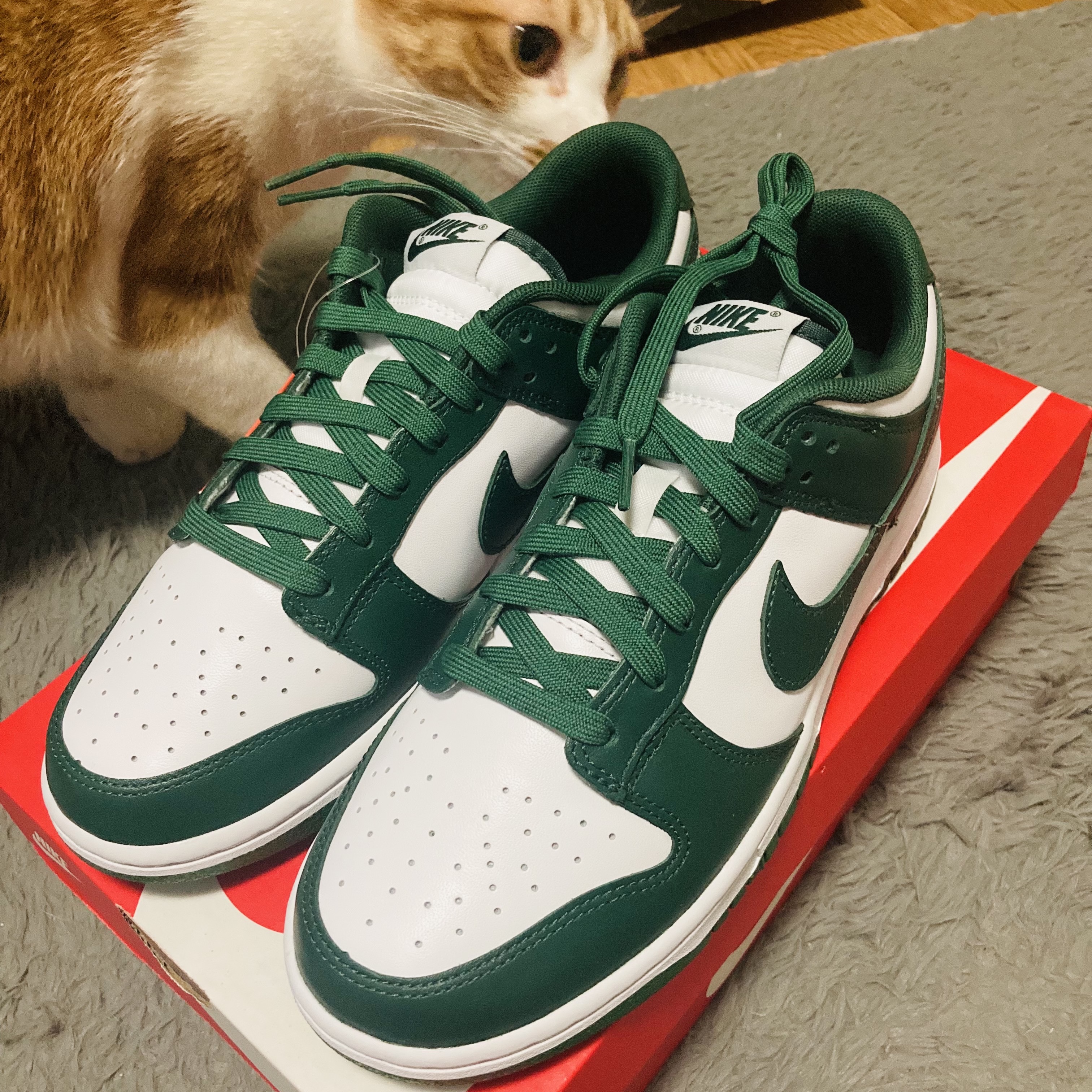 Nike Dunk Low Retro Varsity Green 착용 스타일
