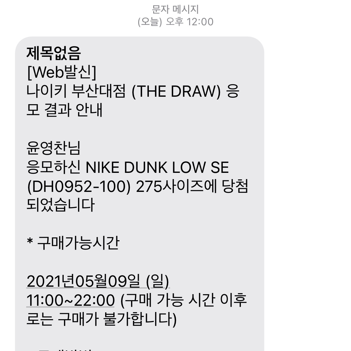Nike Dunk Low SE Free.99 White 착용 스타일