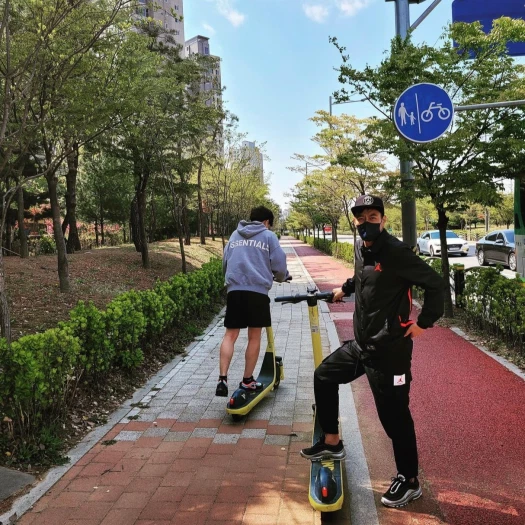 스타일 카드