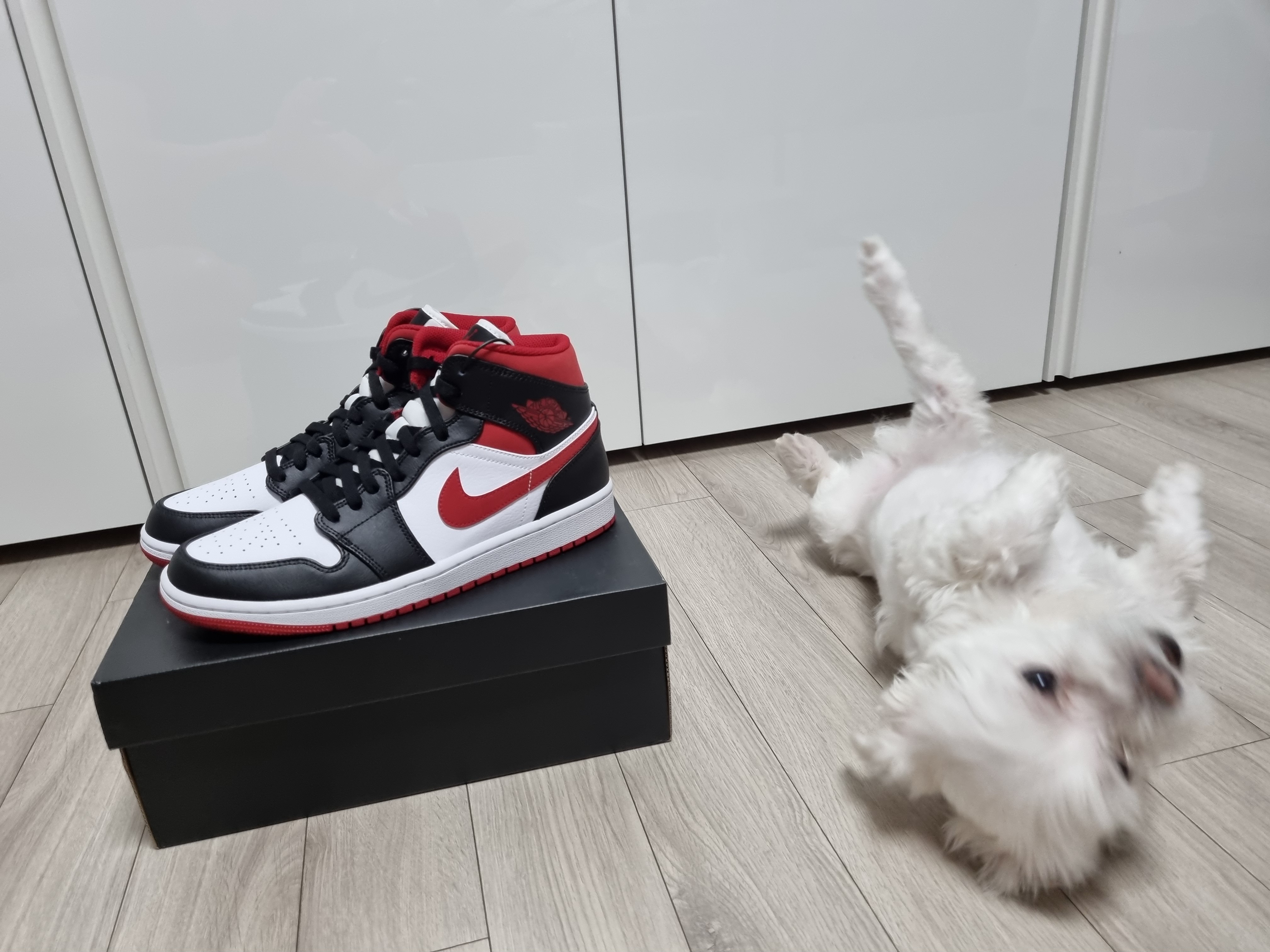Jordan 1 Mid Gym Red Black White 착용 스타일