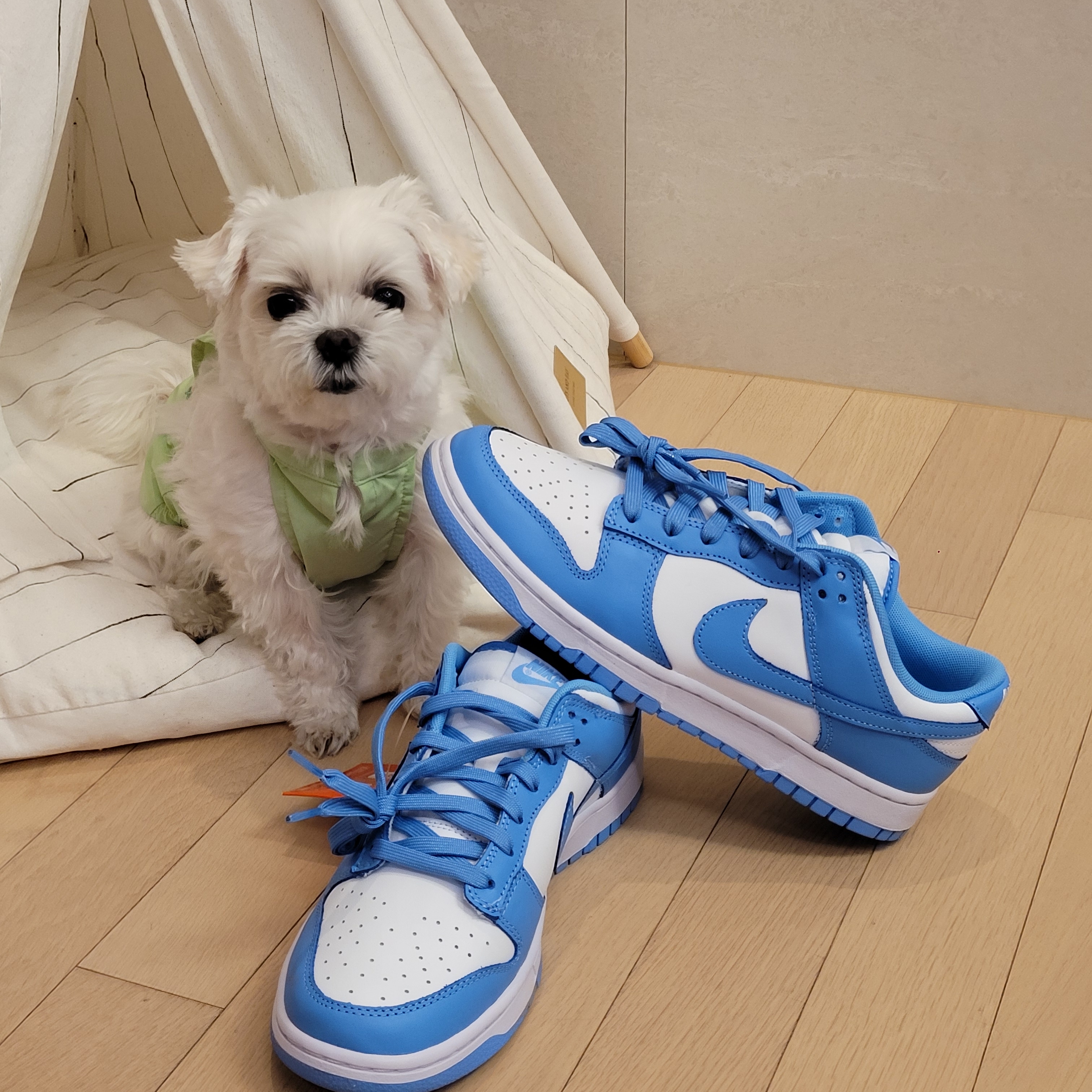 Nike Dunk Low Retro University Blue 착용 스타일 - 1