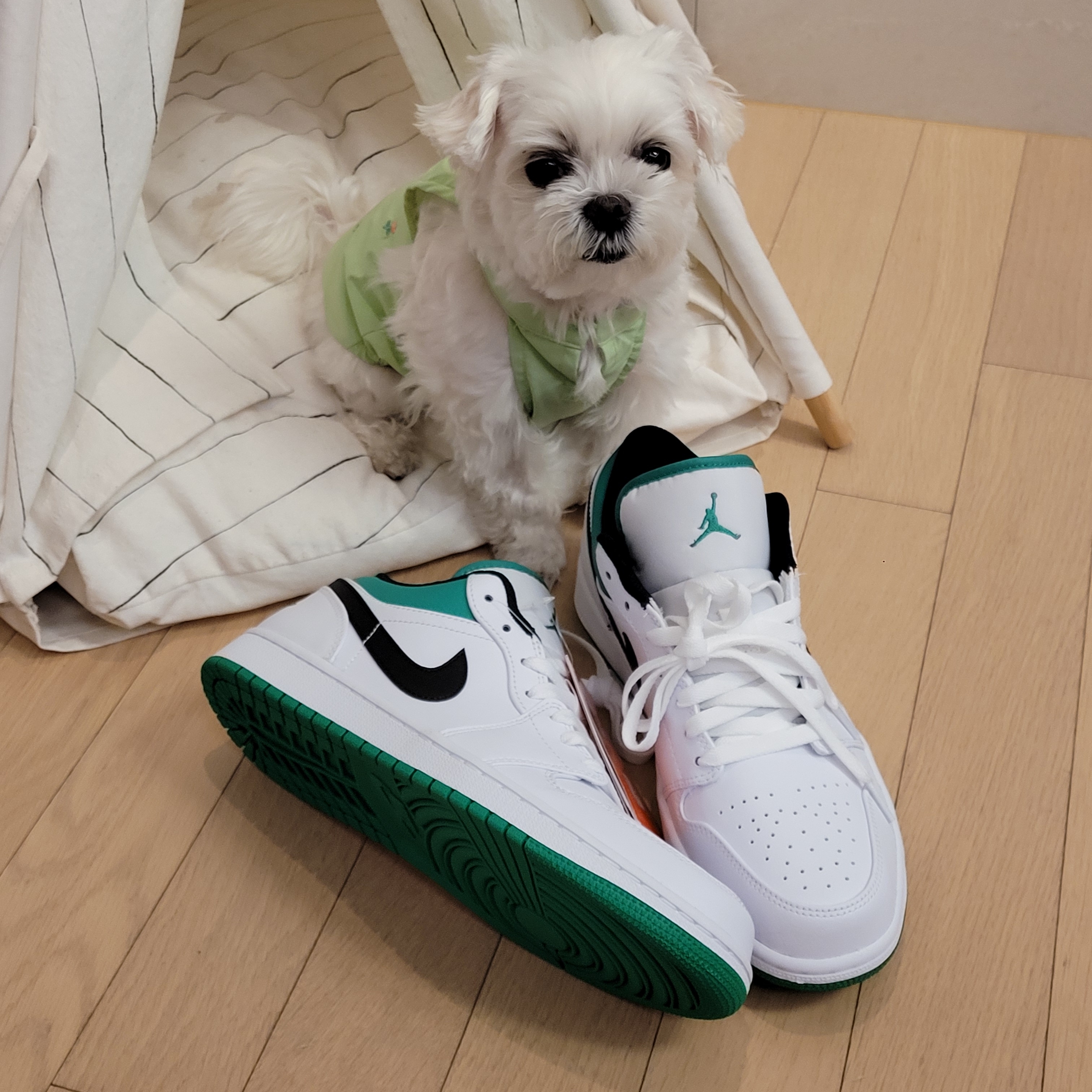 Jordan 1 Low White Lucky Green 착용 스타일 - 3