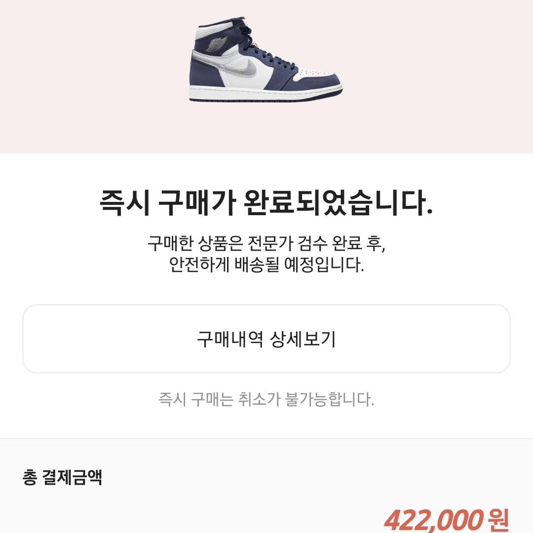 Jordan 1 Retro High OG CO.JP Midnight Navy 착용 스타일