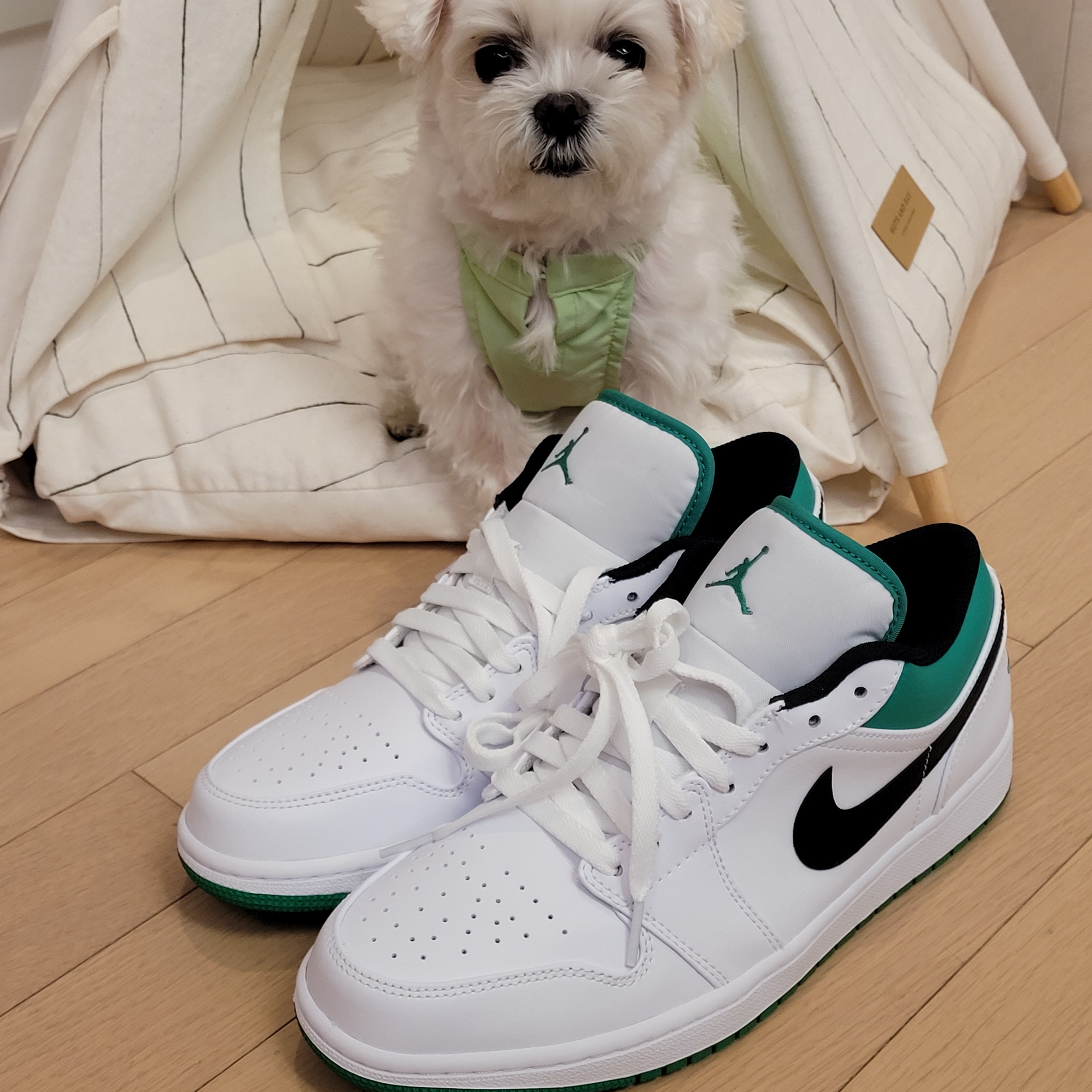 Jordan 1 Low White Lucky Green 착용 스타일 - 1