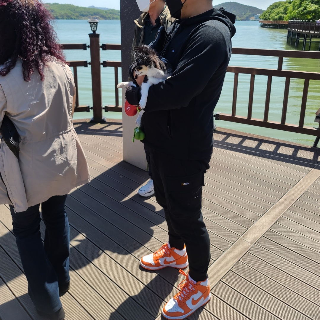 Nike Dunk High Retro Orange Blaze, (GS) Nike Air More Uptempo Rayguns 착용 스타일 - 2