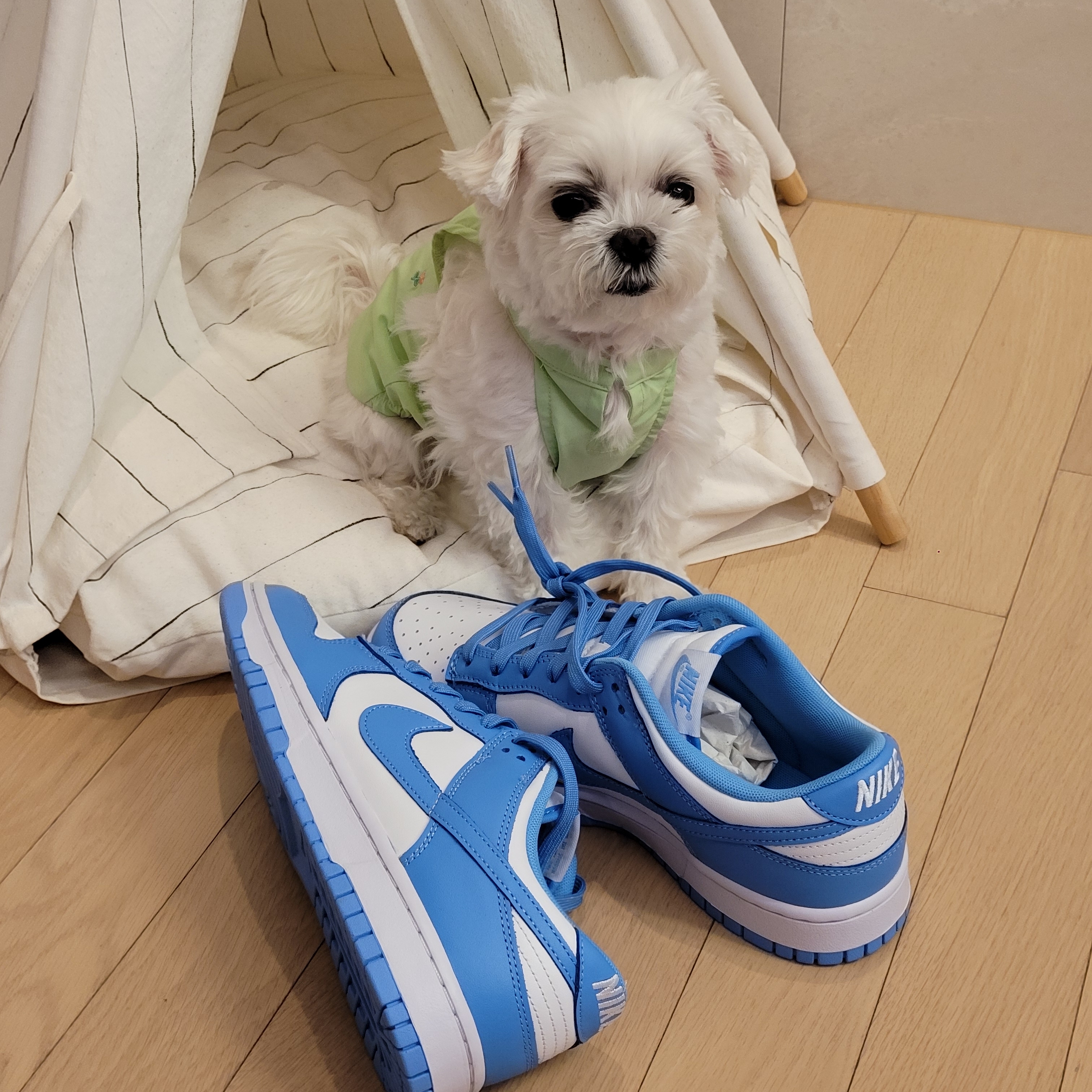 Nike Dunk Low Retro University Blue 착용 스타일 - 2