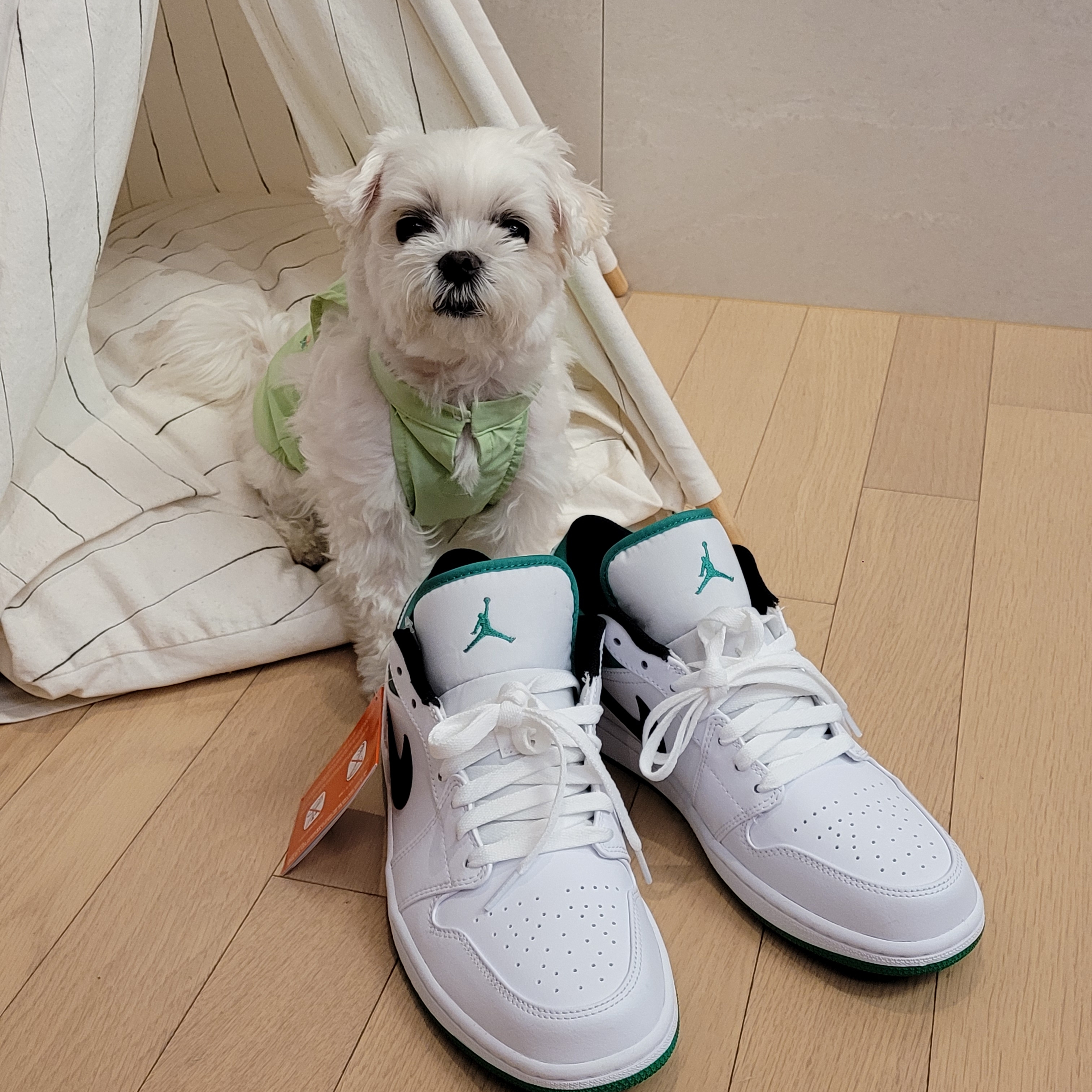 Jordan 1 Low White Lucky Green 착용 스타일 - 2