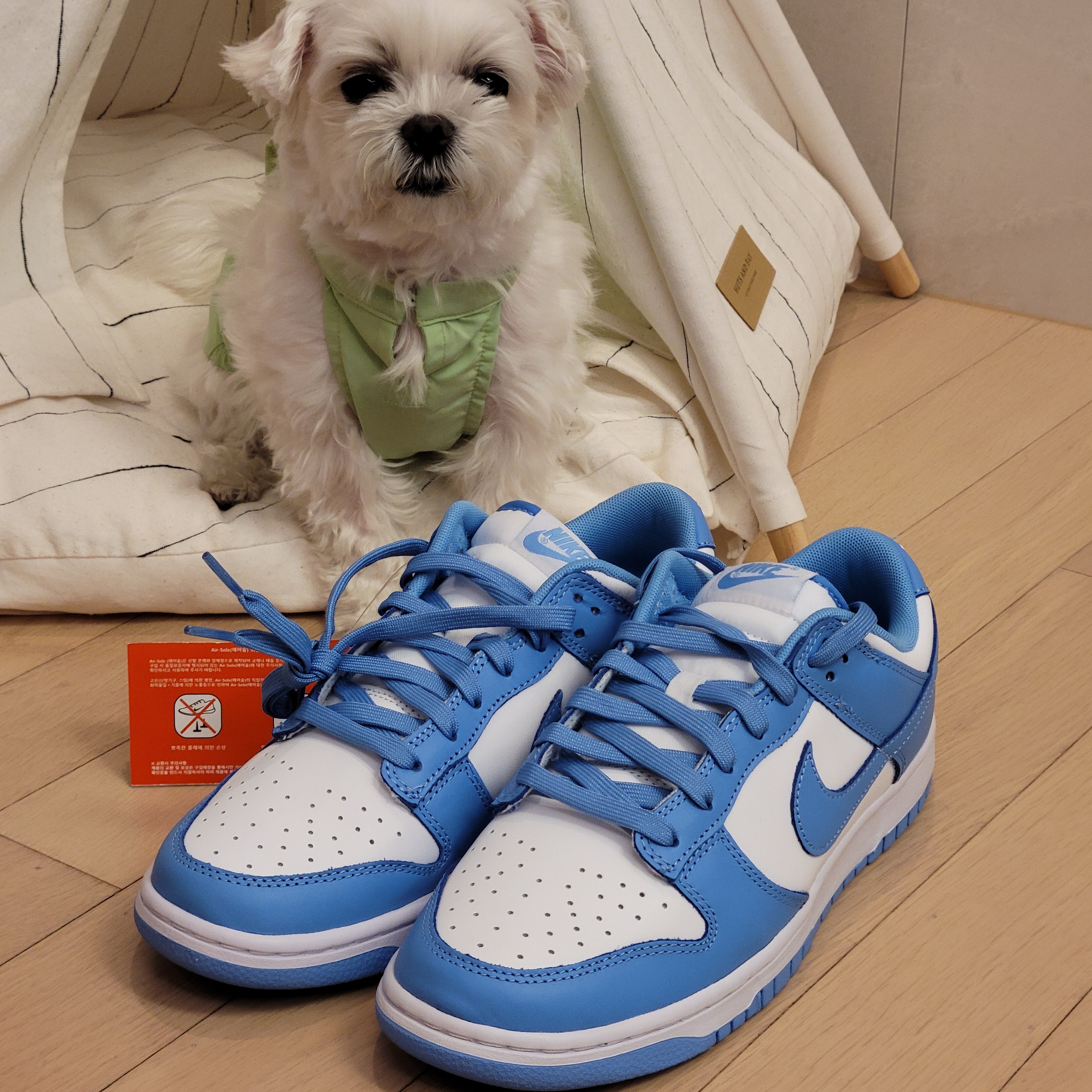 Nike Dunk Low Retro University Blue 착용 스타일 - 3