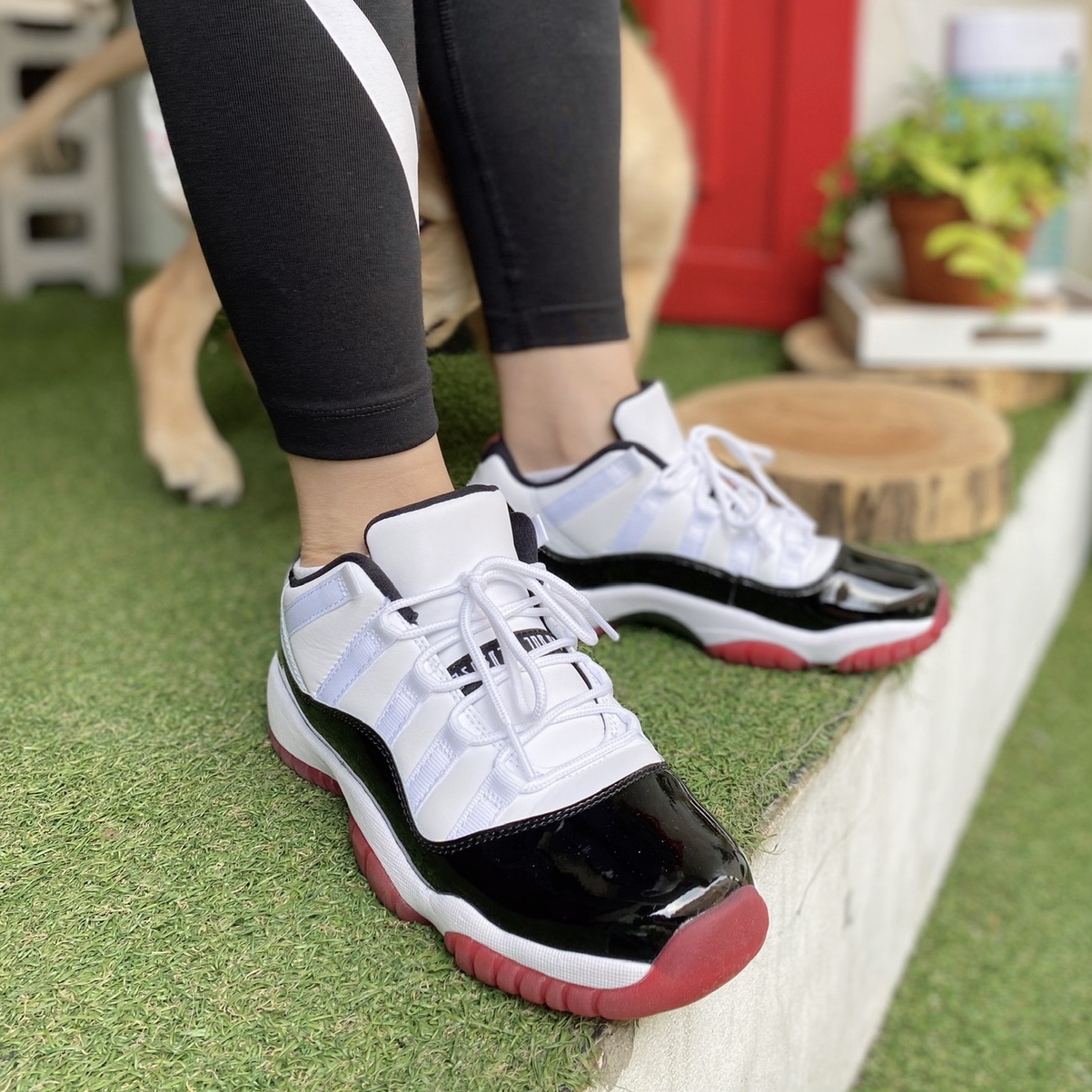 Jordan 11 Retro Low Concord Bred 착용 스타일 - 1