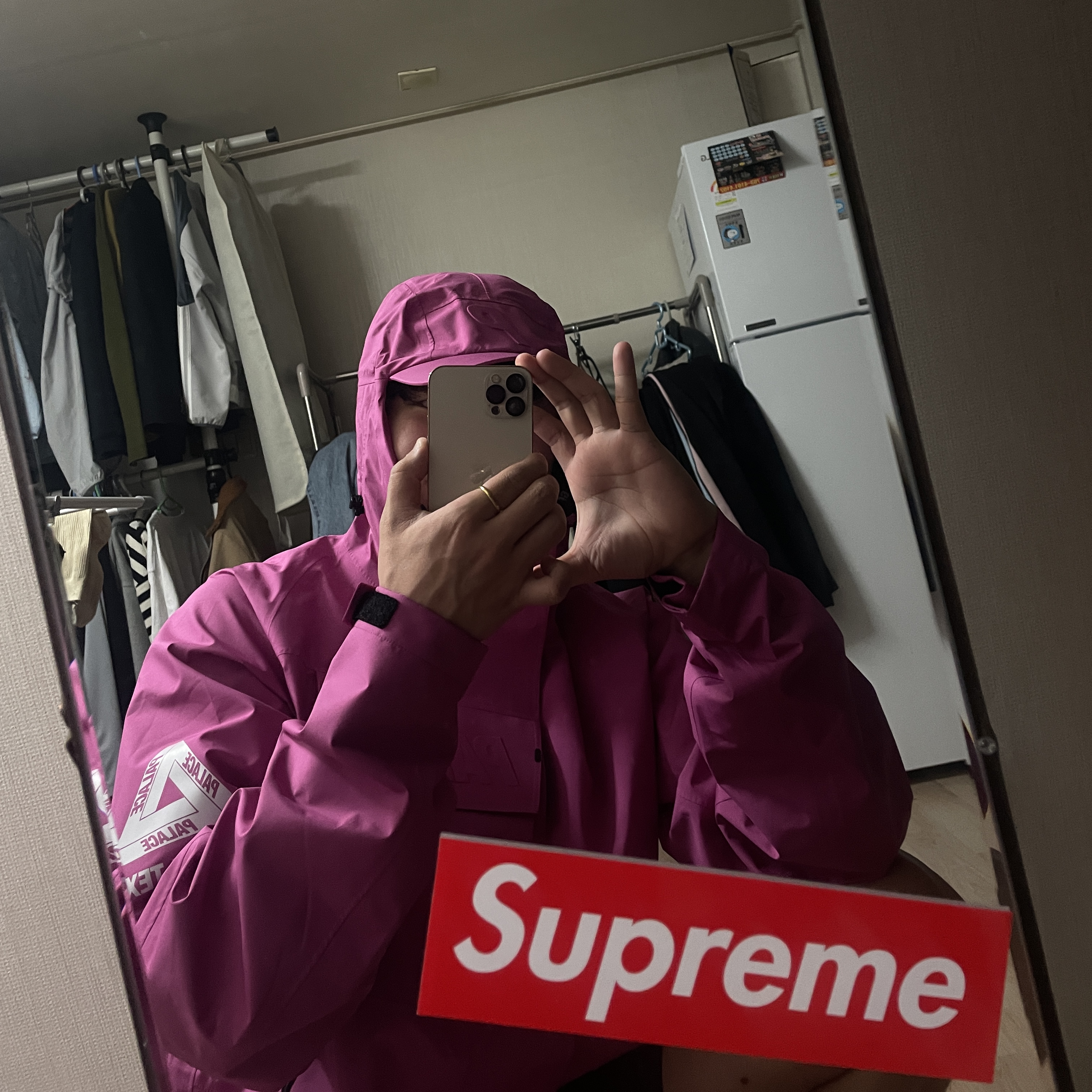 (W) Nike Daybreak Desert Berry, Palace Gore-Tex P Cap Jacket Pink - 21SS 착용 스타일 - 2