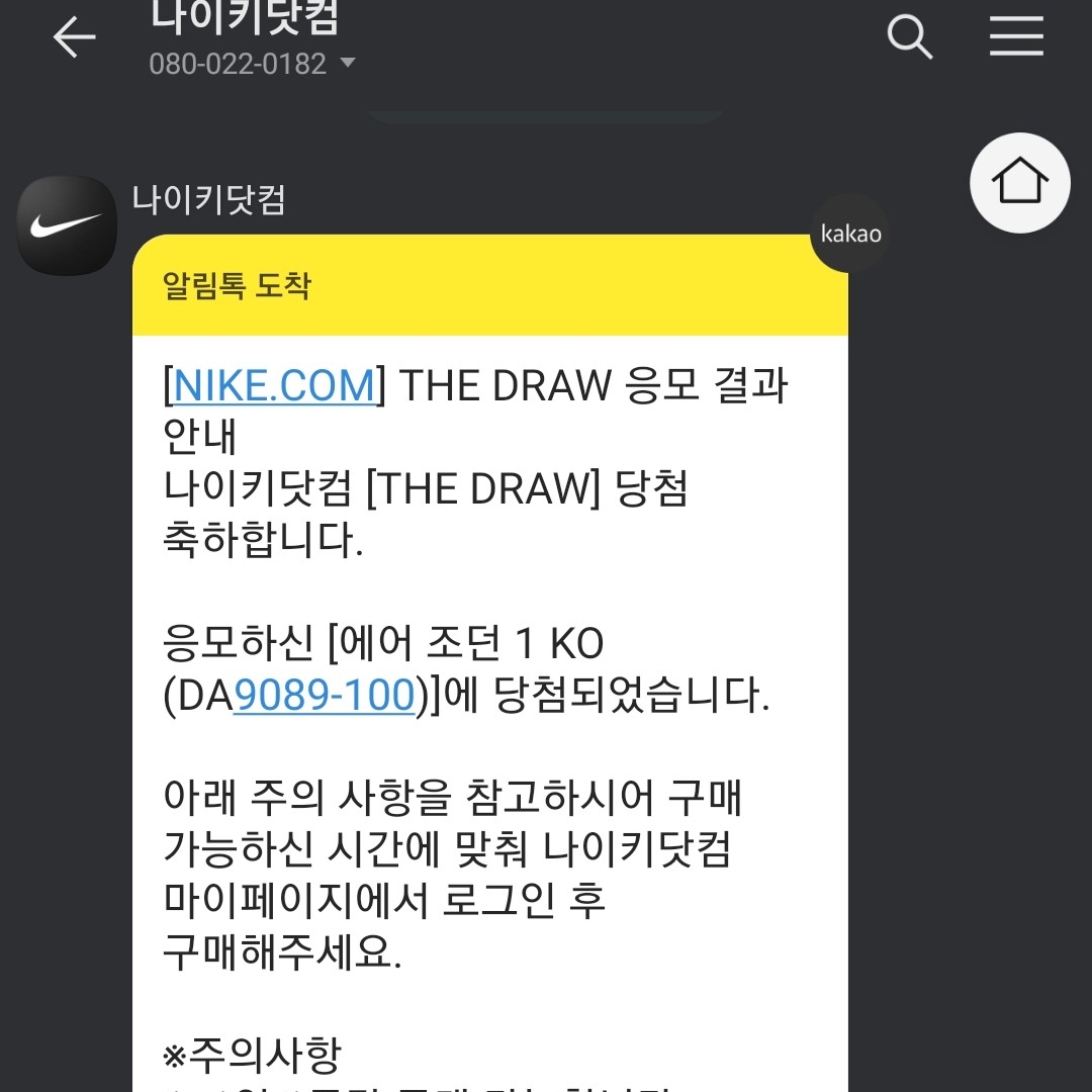 Jordan 1 KO Chicago 2021, Jordan 4 Retro Bred 2019 착용 스타일 - 1